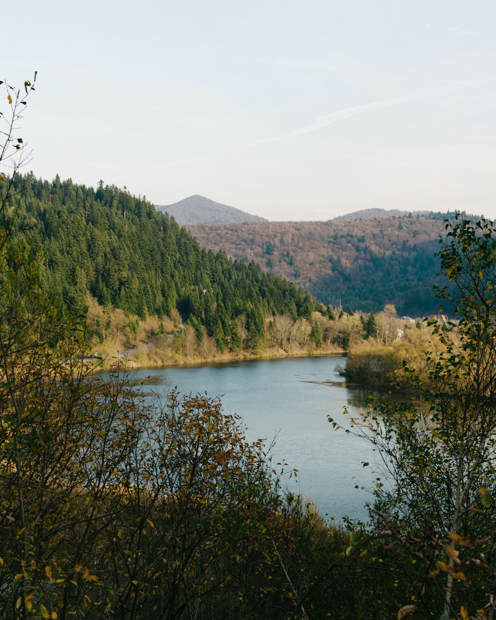 lake surrounded by trees painting