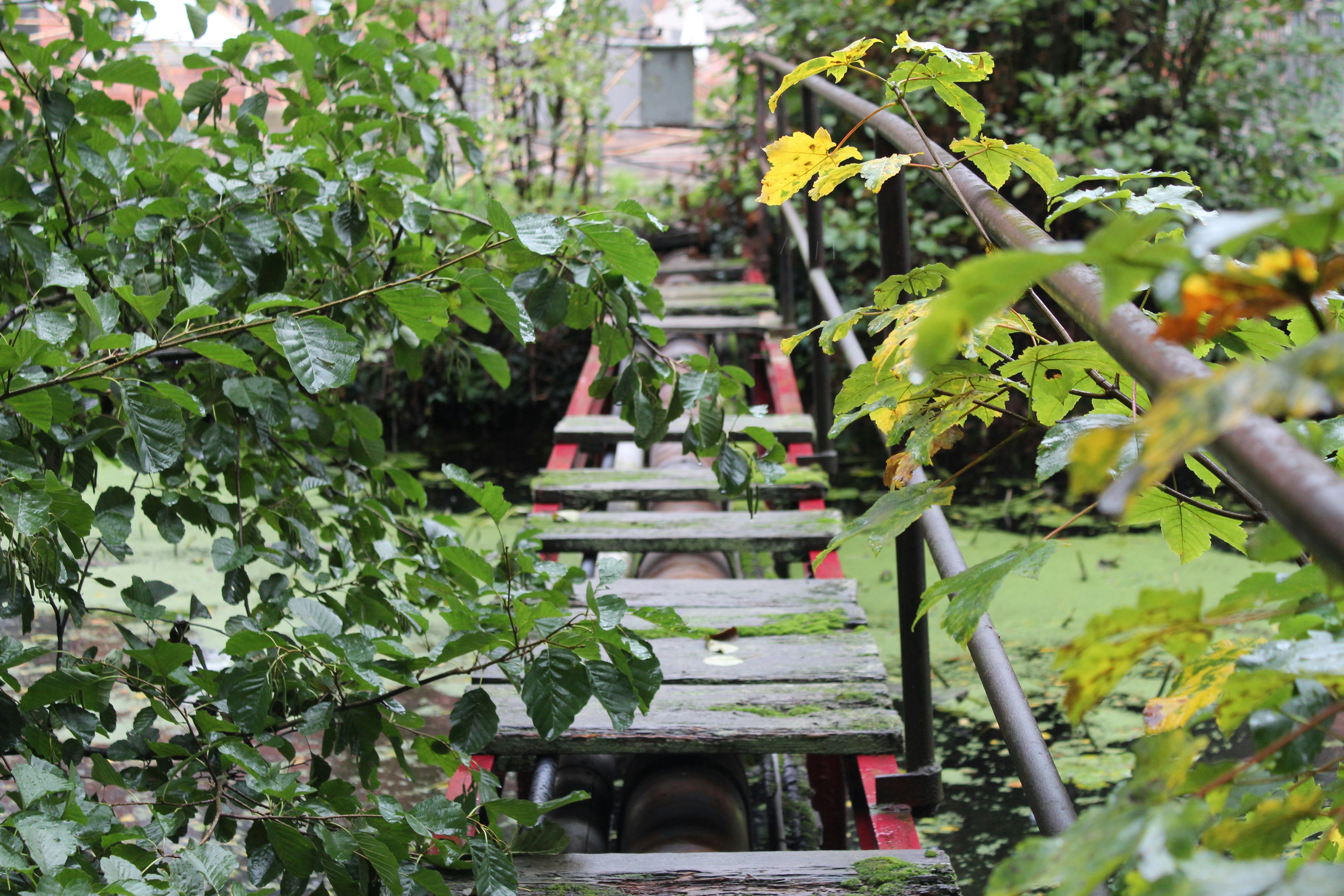 Photo by gabriel_tresch