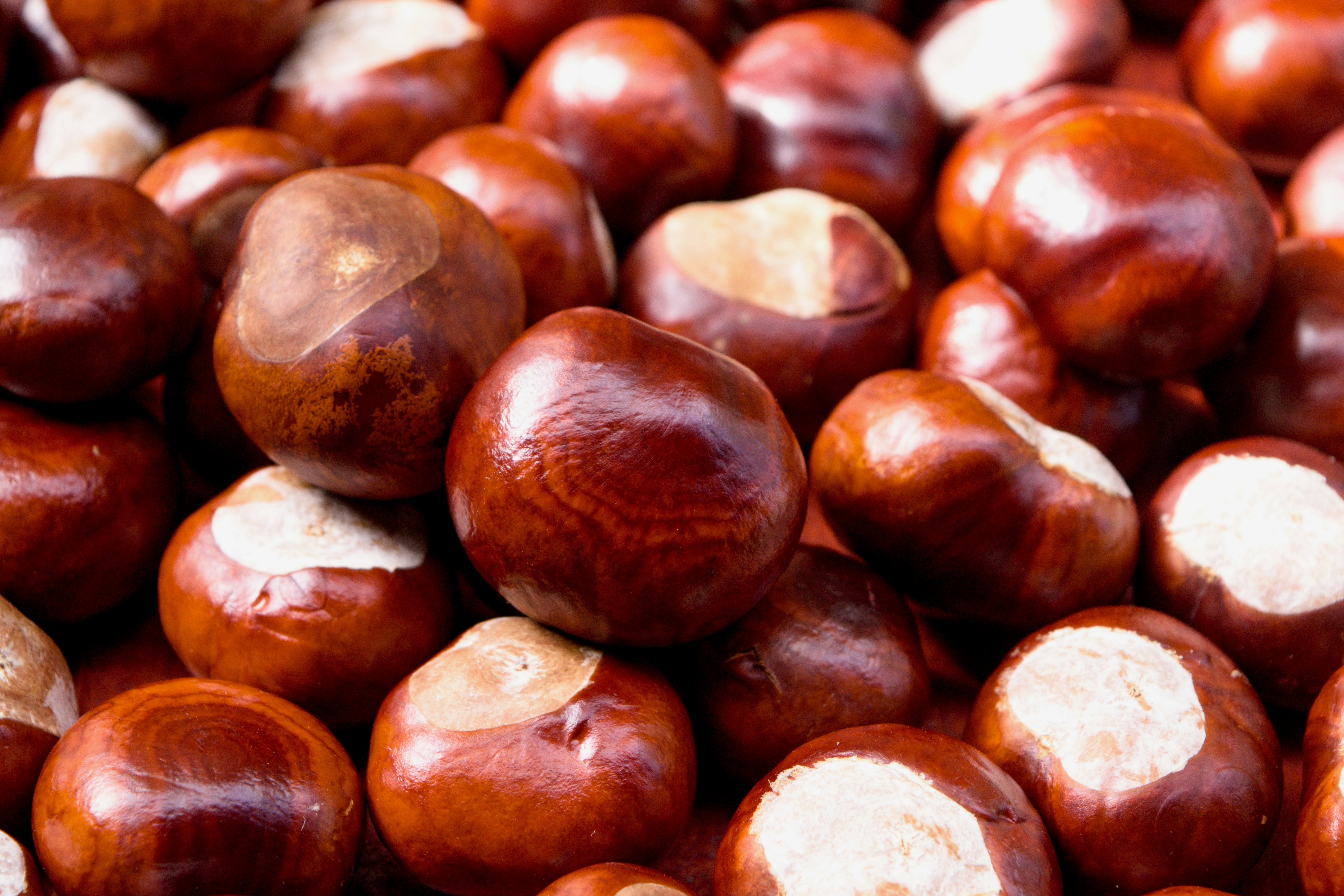 Photo by somewhatparanoid