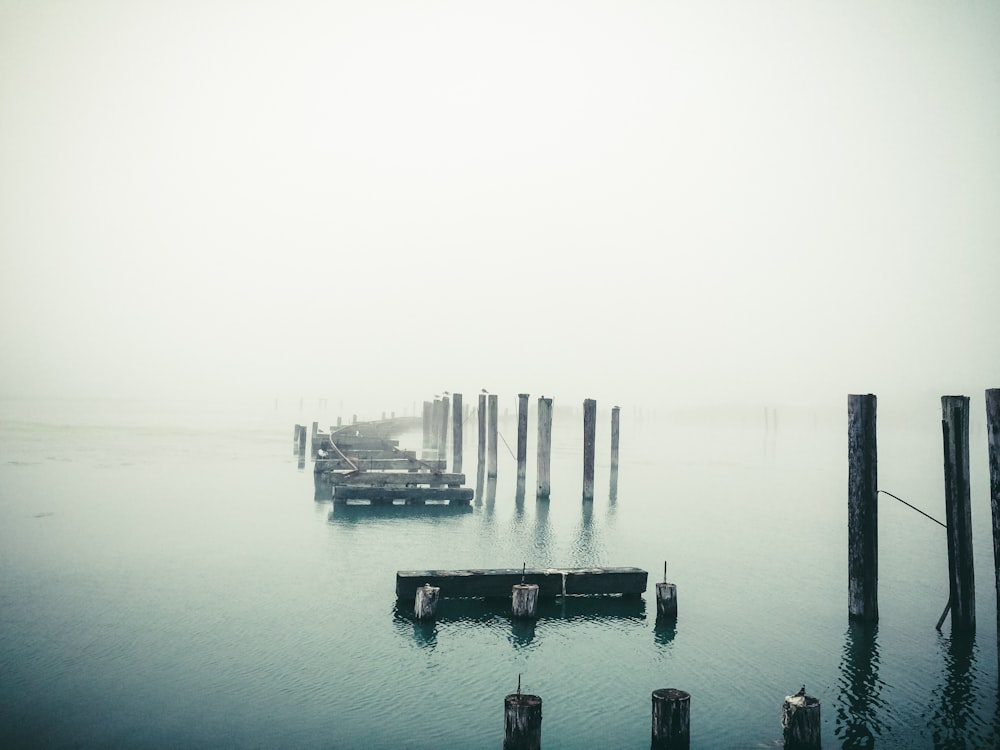 black and brown wooden bridge