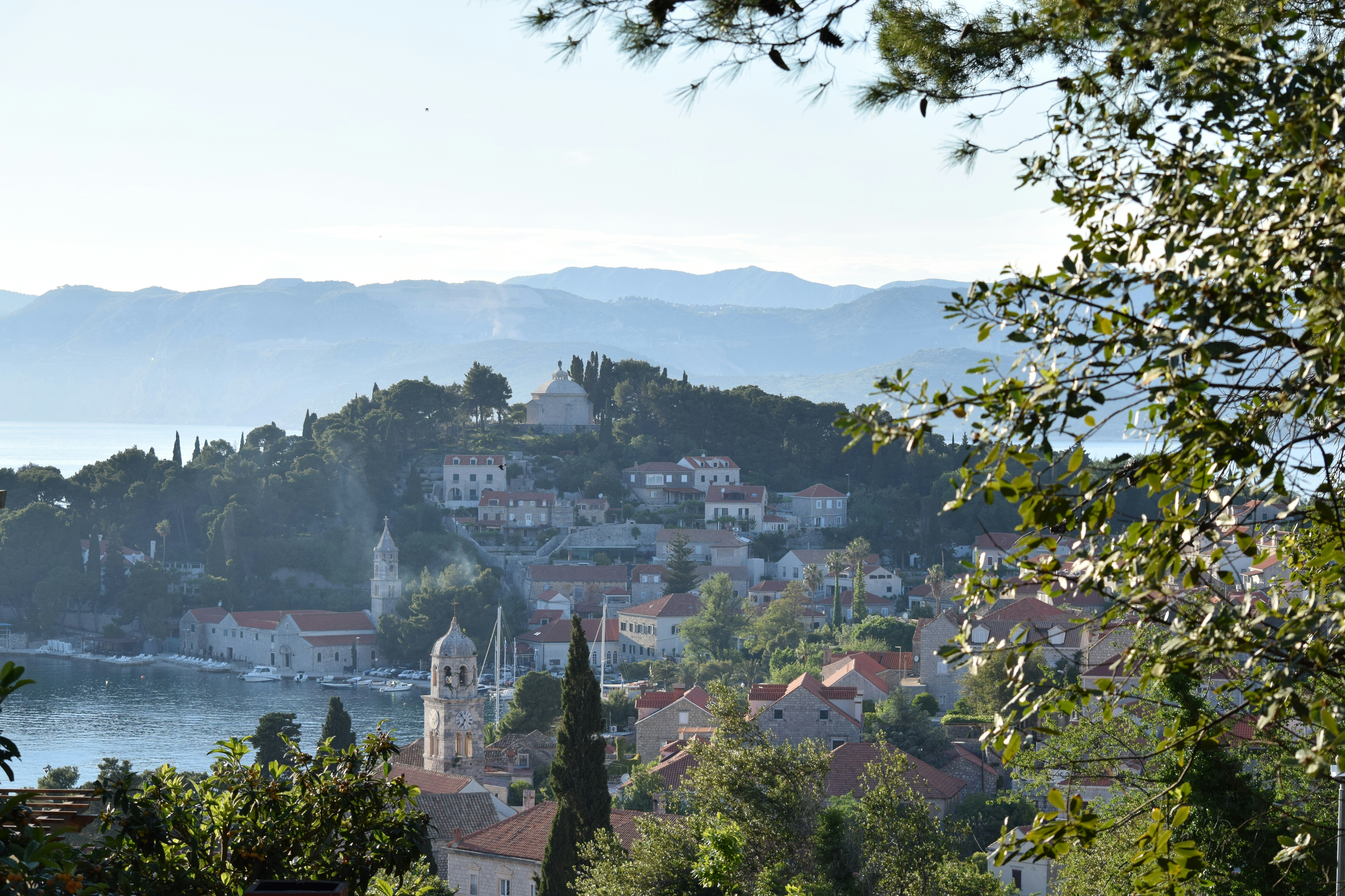 Photo by matthewwaring