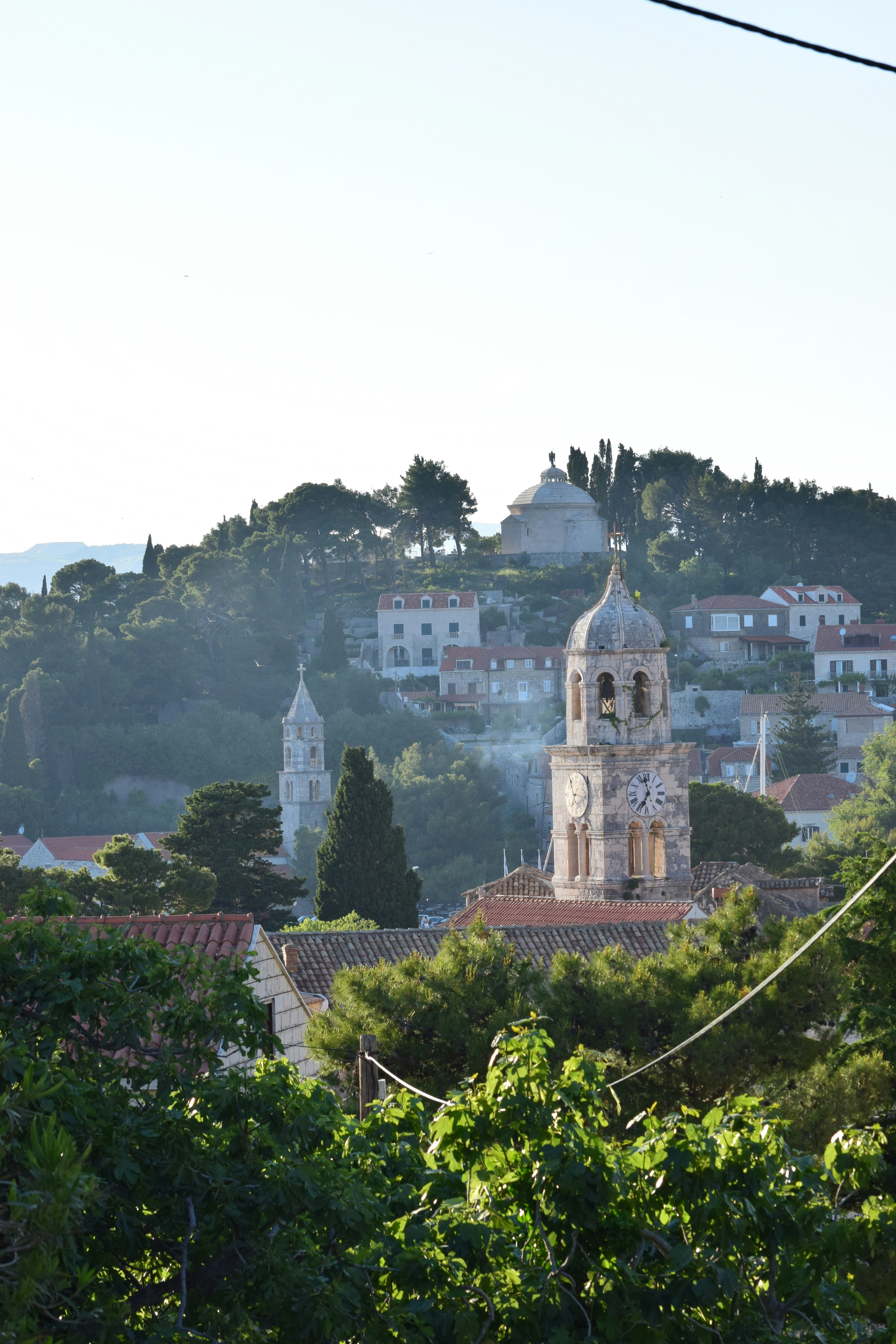 Photo by matthewwaring