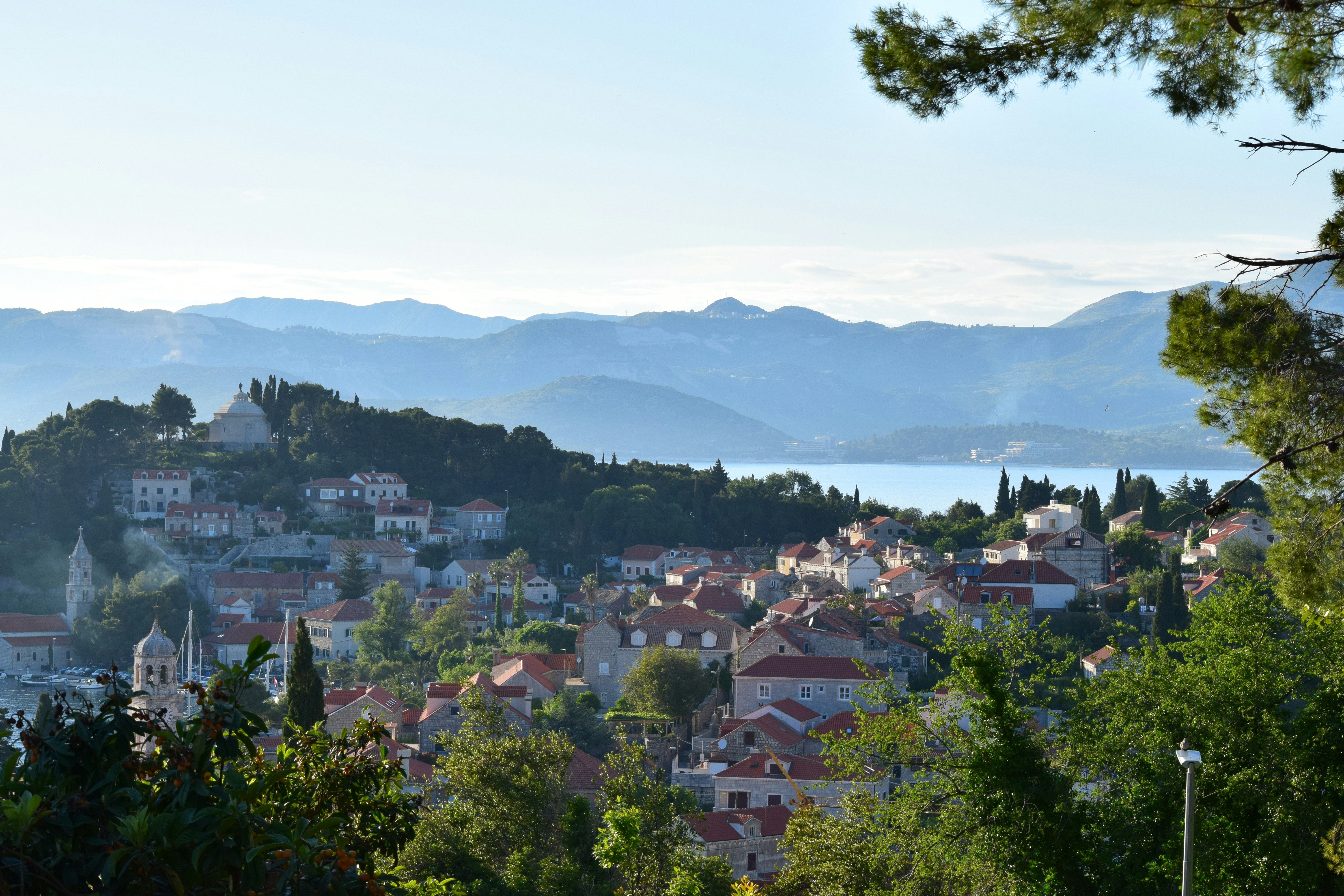 Photo by matthewwaring