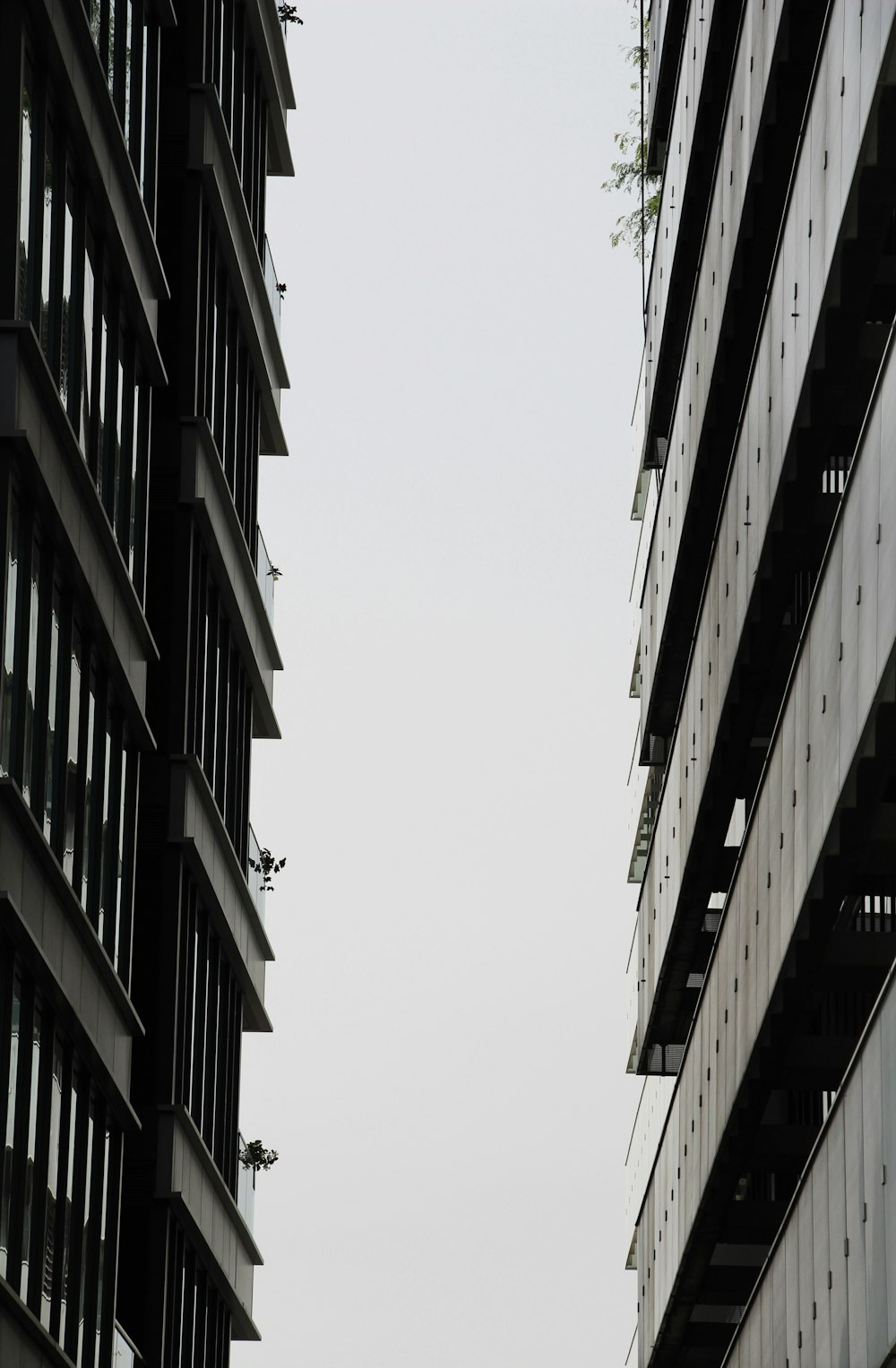 white and black concrete building