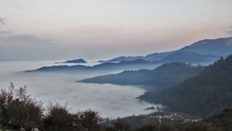 A serene mountain village at dawn with mist curling through pine trees.