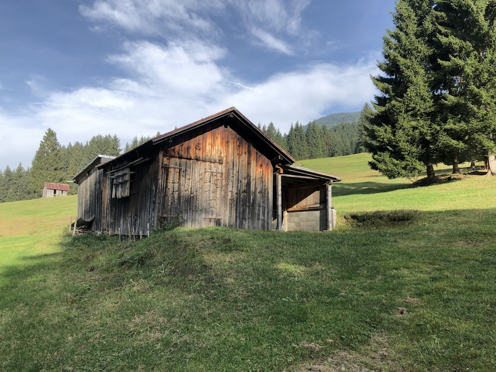 cabin near green trees