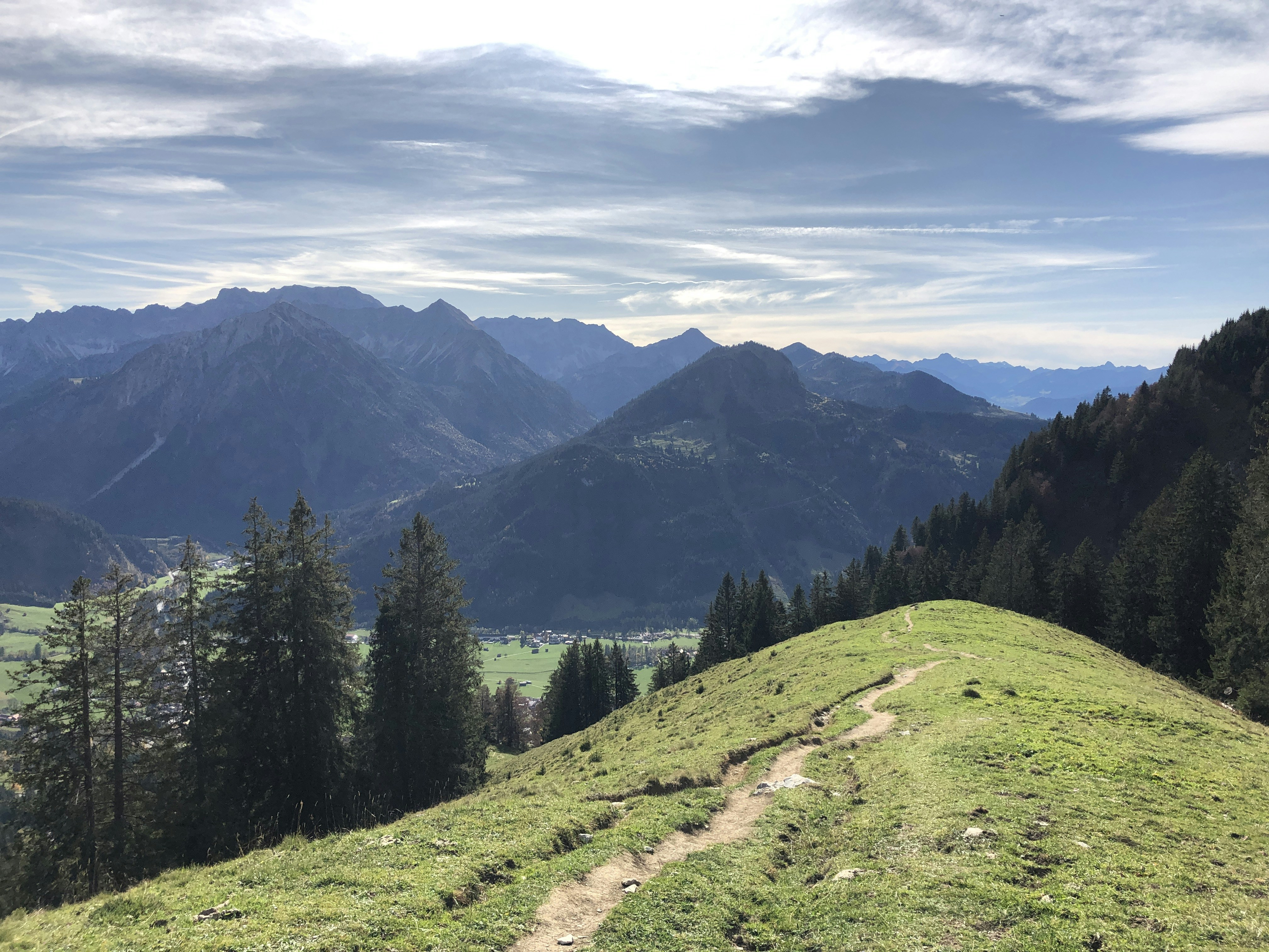 green grasses on hills