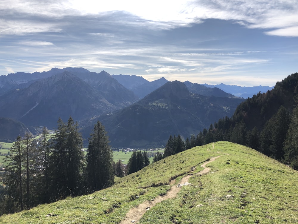 green grasses on hills