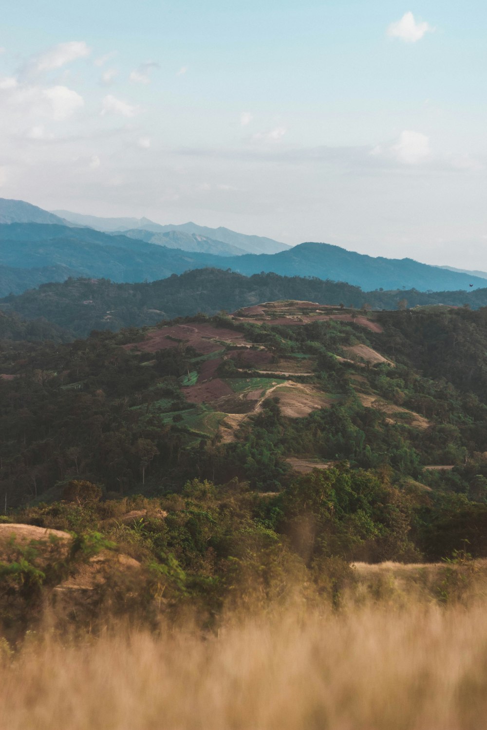 green trees on hills under white sky