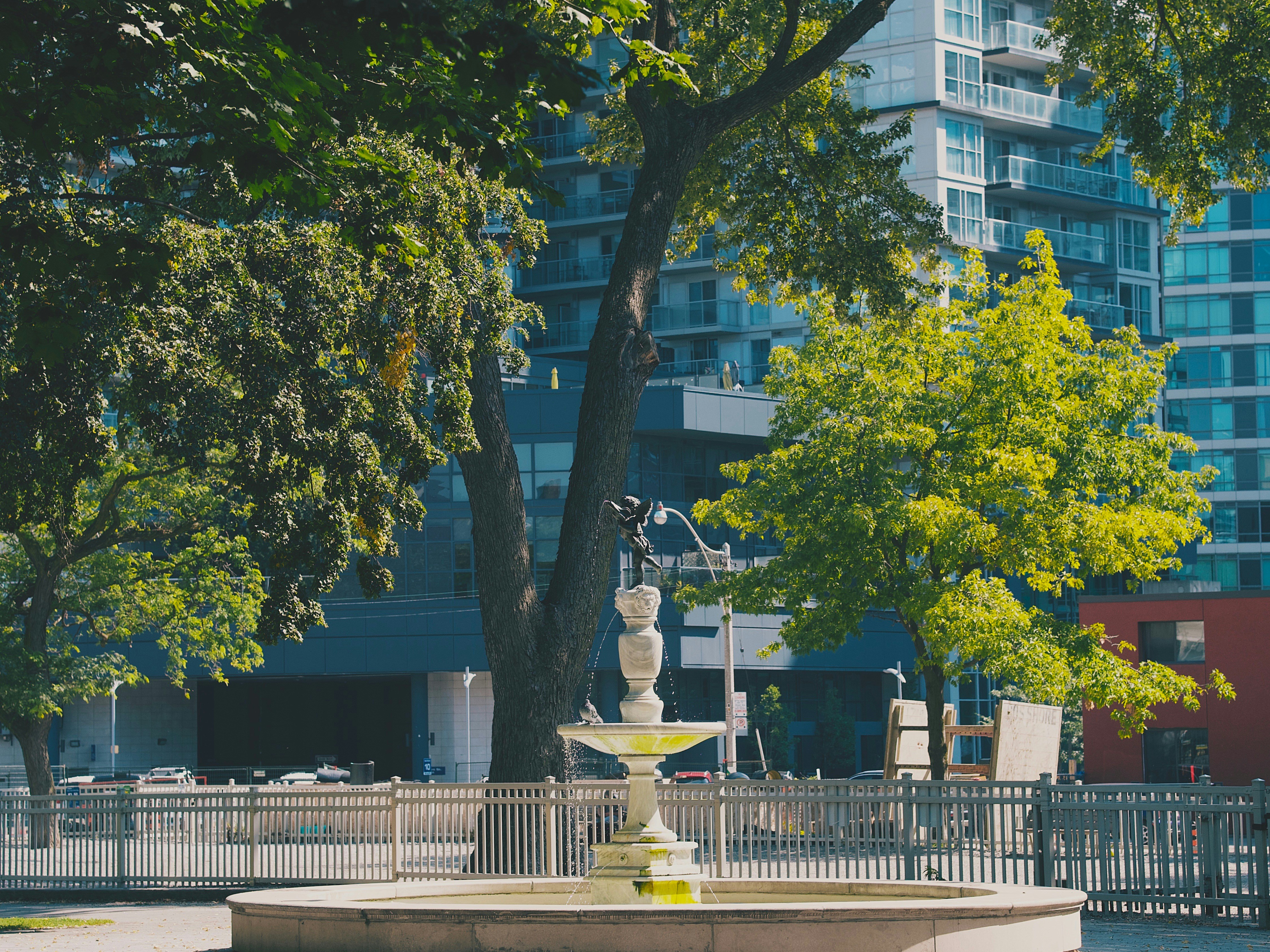 Photo by denisumpleby