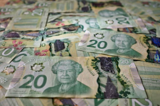 Close-up of a crisp Canadian dollar bill highlighting intricate security features and vibrant colors.
