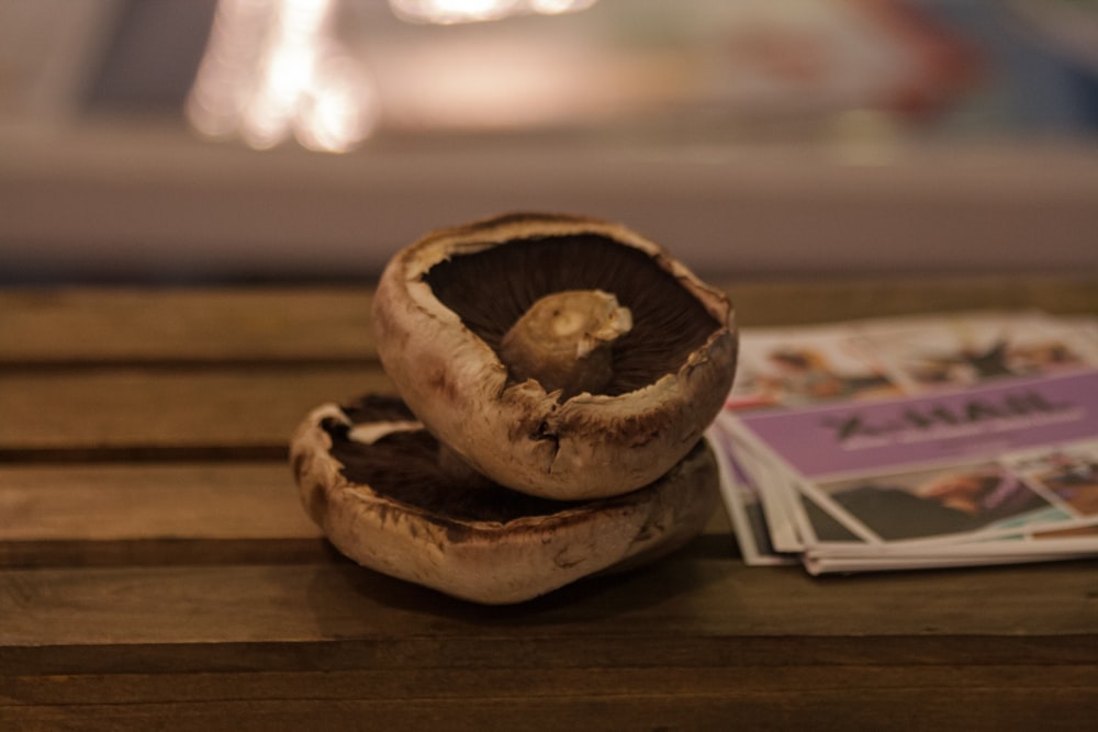 two dried mushrooms on brown wooden panel