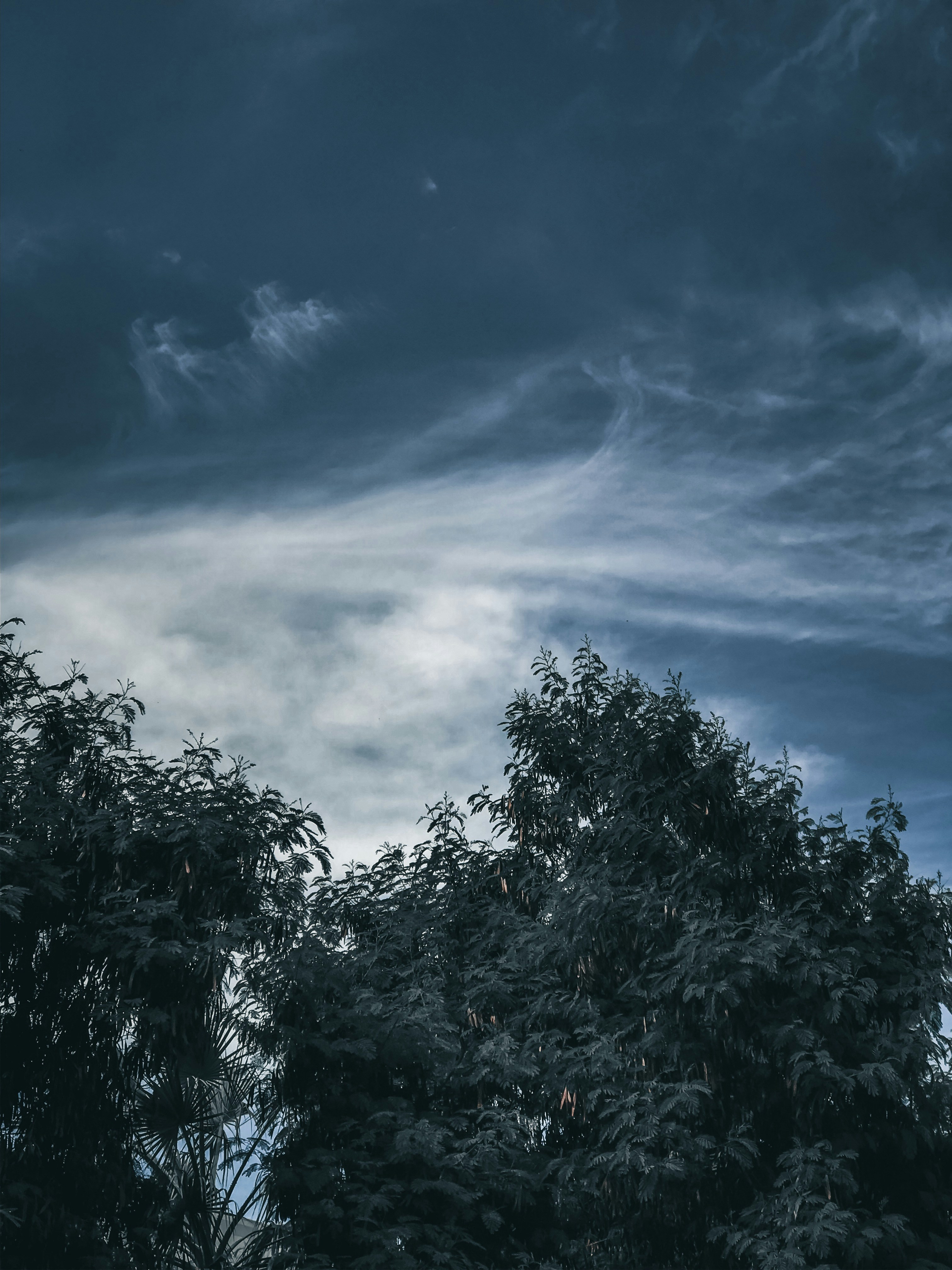 Photo by mostafatarek18