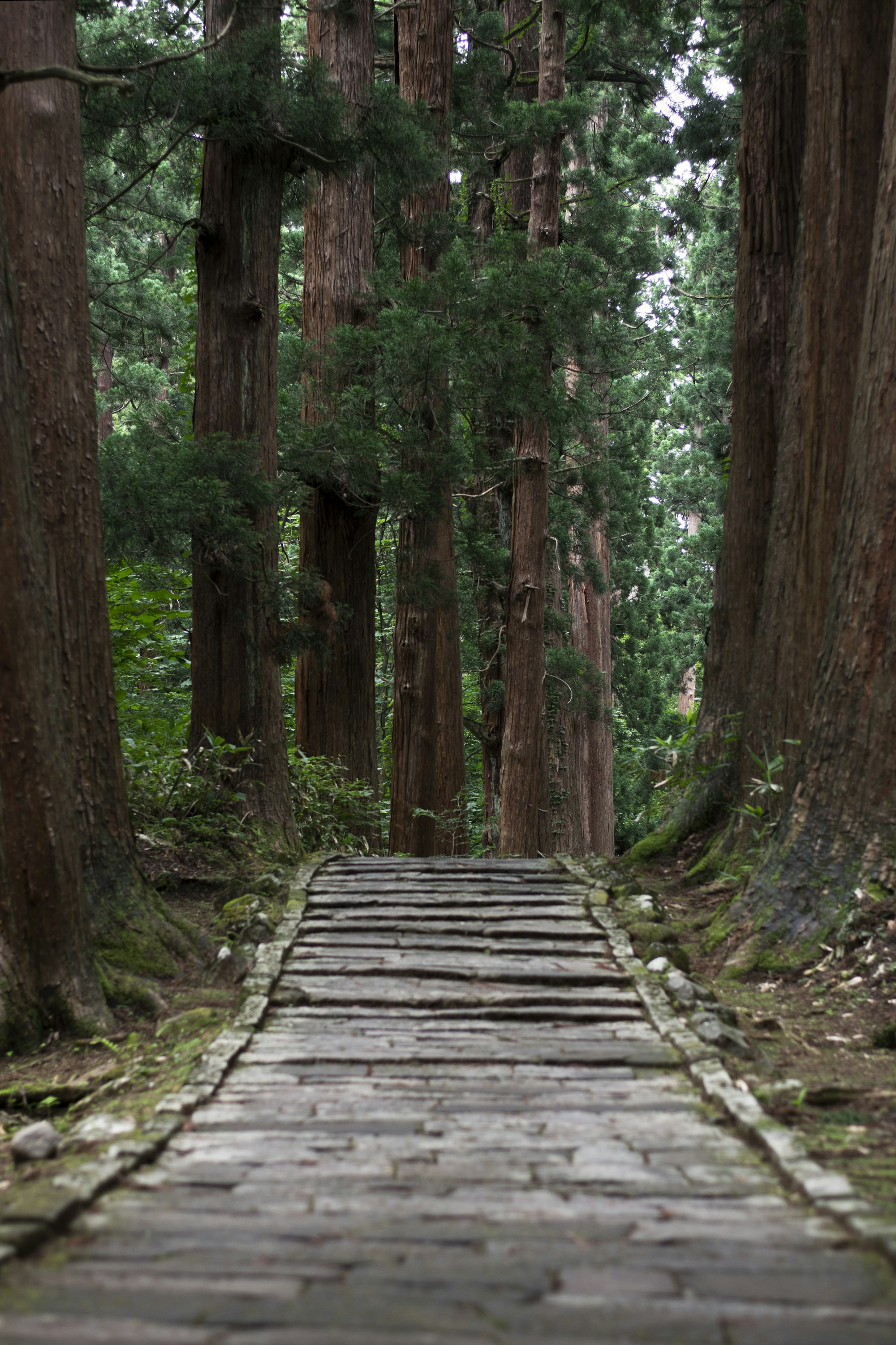 Exploring Yamagata: A Complete Travel Guide