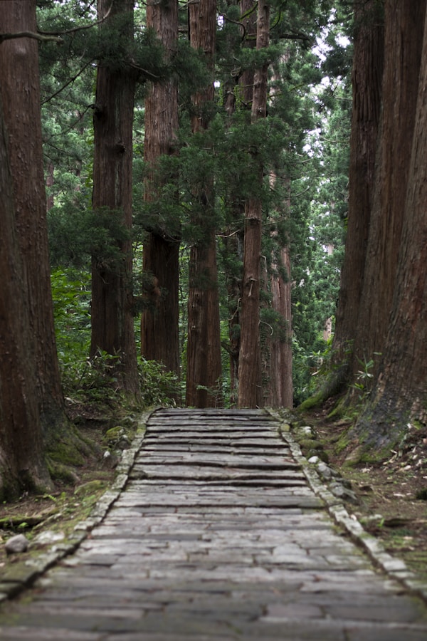 What to see in Yamagata: Travel Guide & Highlights