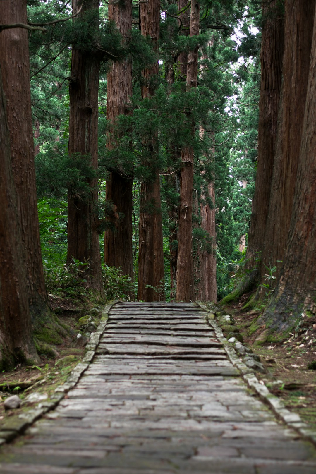 Travel Tips and Stories of Tsuruoka in Japan