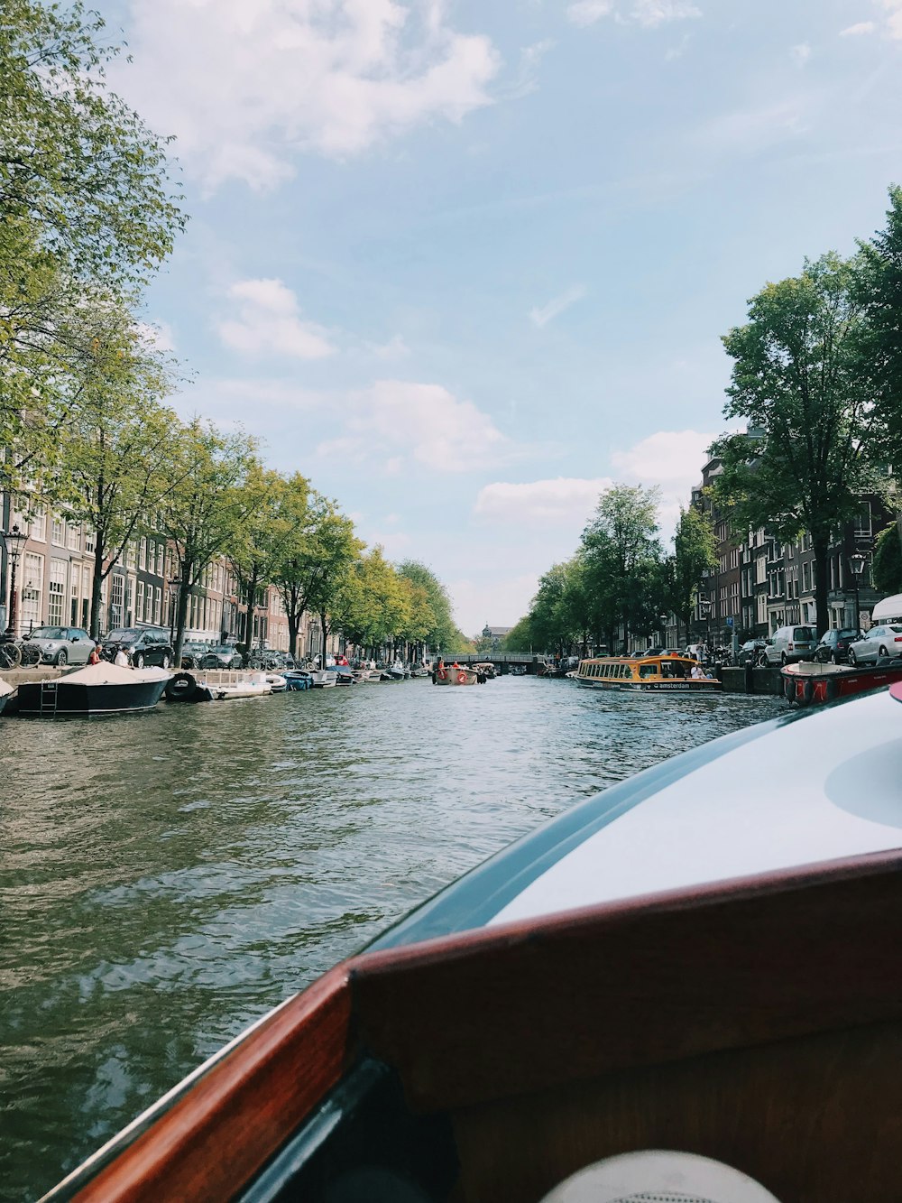 brown and white boat