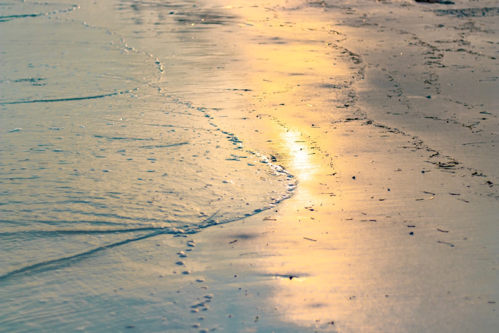 shallow focus photo of body of water