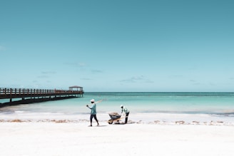 two people pushing wheelbarrow on seashore