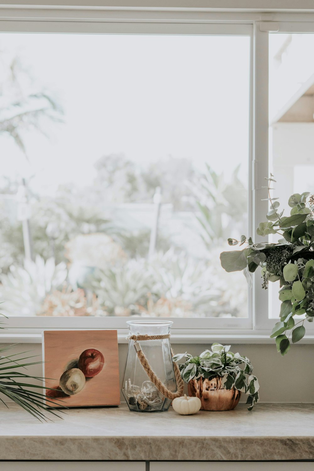 shallow focus photo of green plants beside window