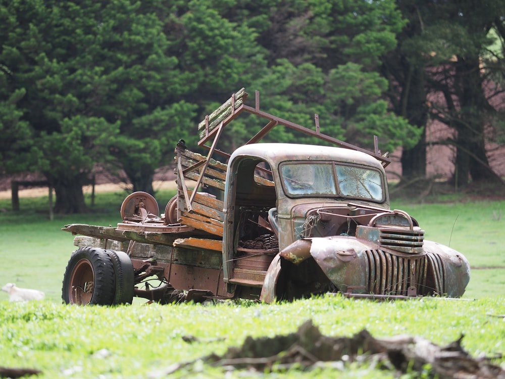 shallow focus photo of gray single cab truck