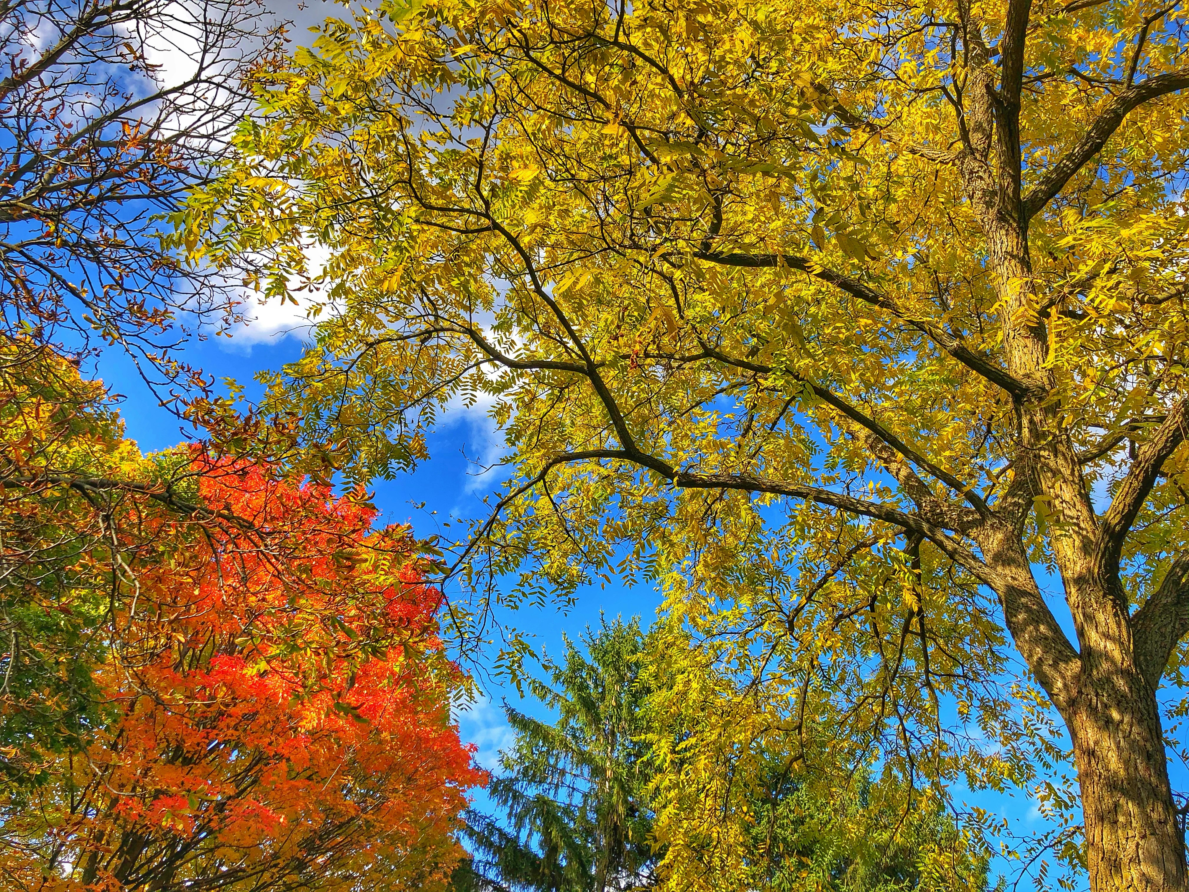 Photo by monkeywithleica68