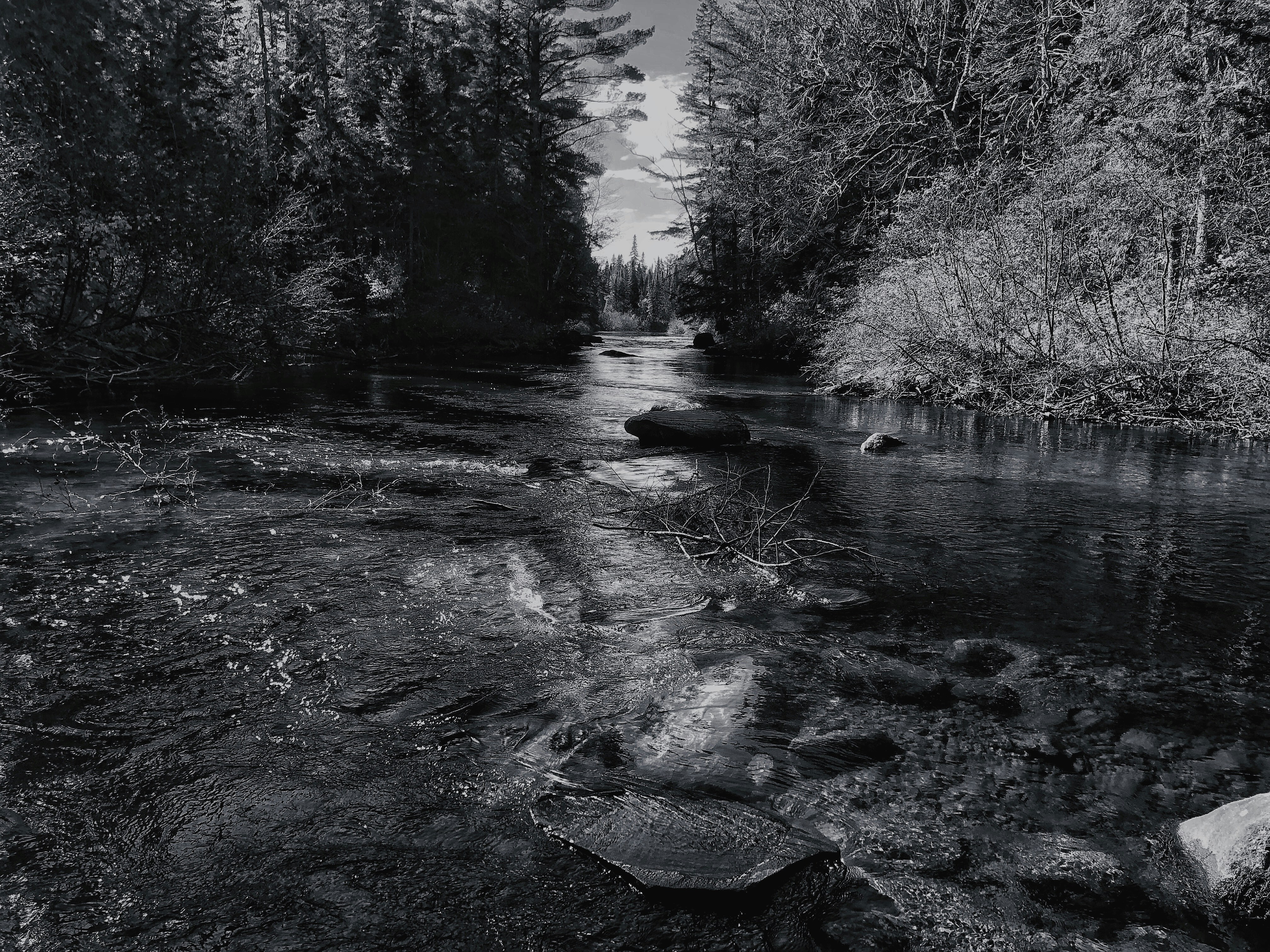 Photo by monkeywithleica68