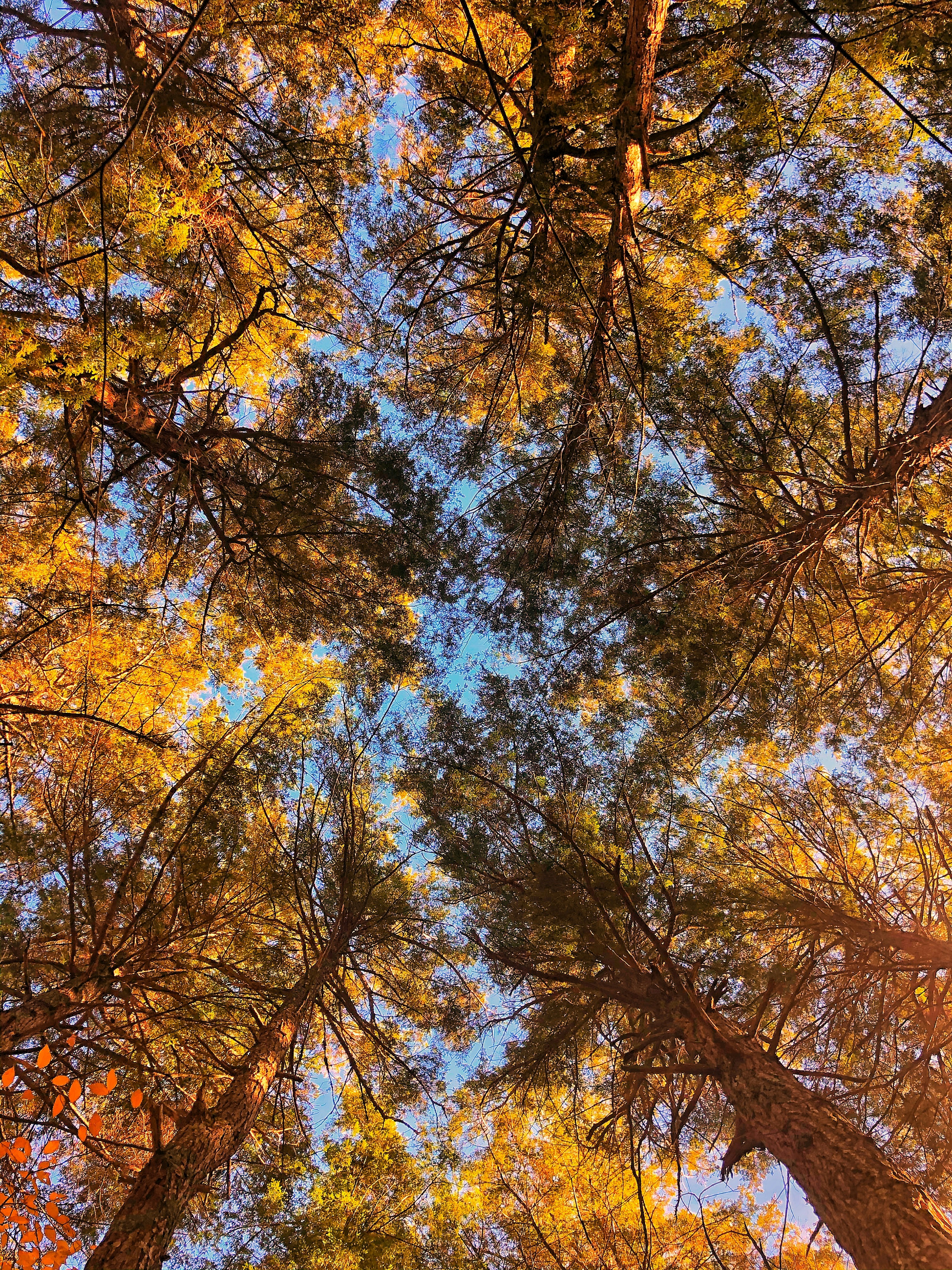 Photo by monkeywithleica68