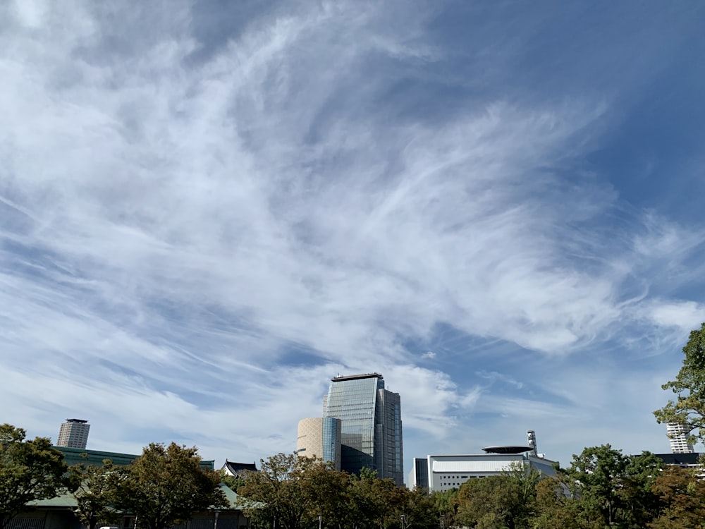 city with high-rise buildings near green trees under white and blue sky during daytime