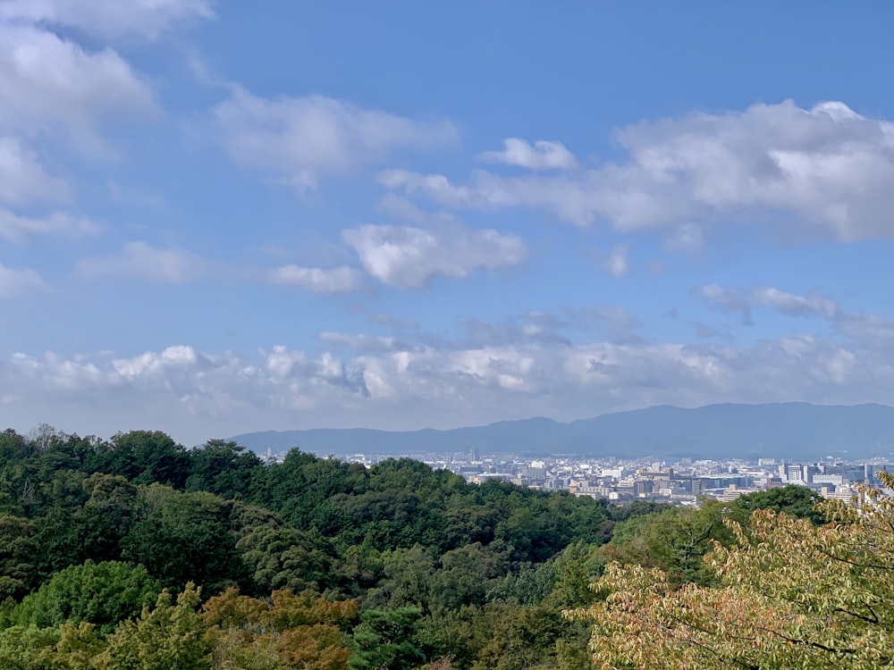 aerial photography of city with high-rise buildings viewing mountain under white and blue sky during daytime