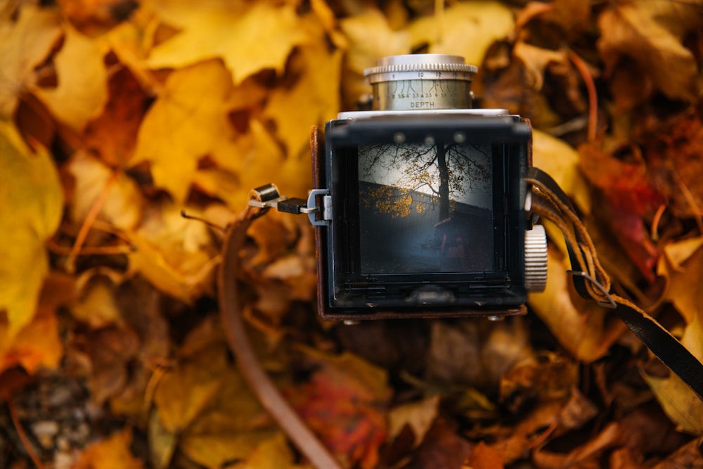 茶色の葉の上の正方形の黒と灰色のカメラ
