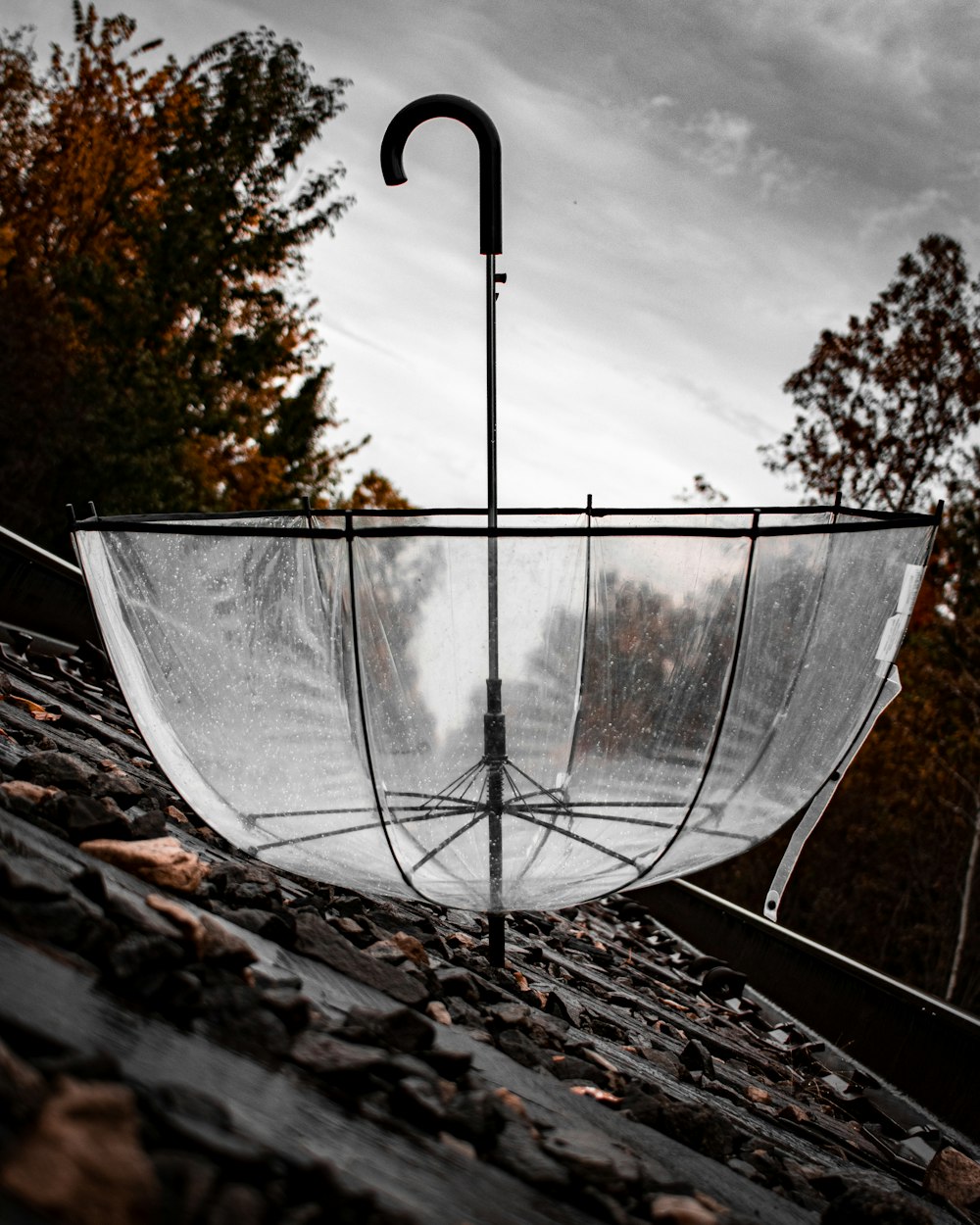 un parapluie transparent assis sur un toit