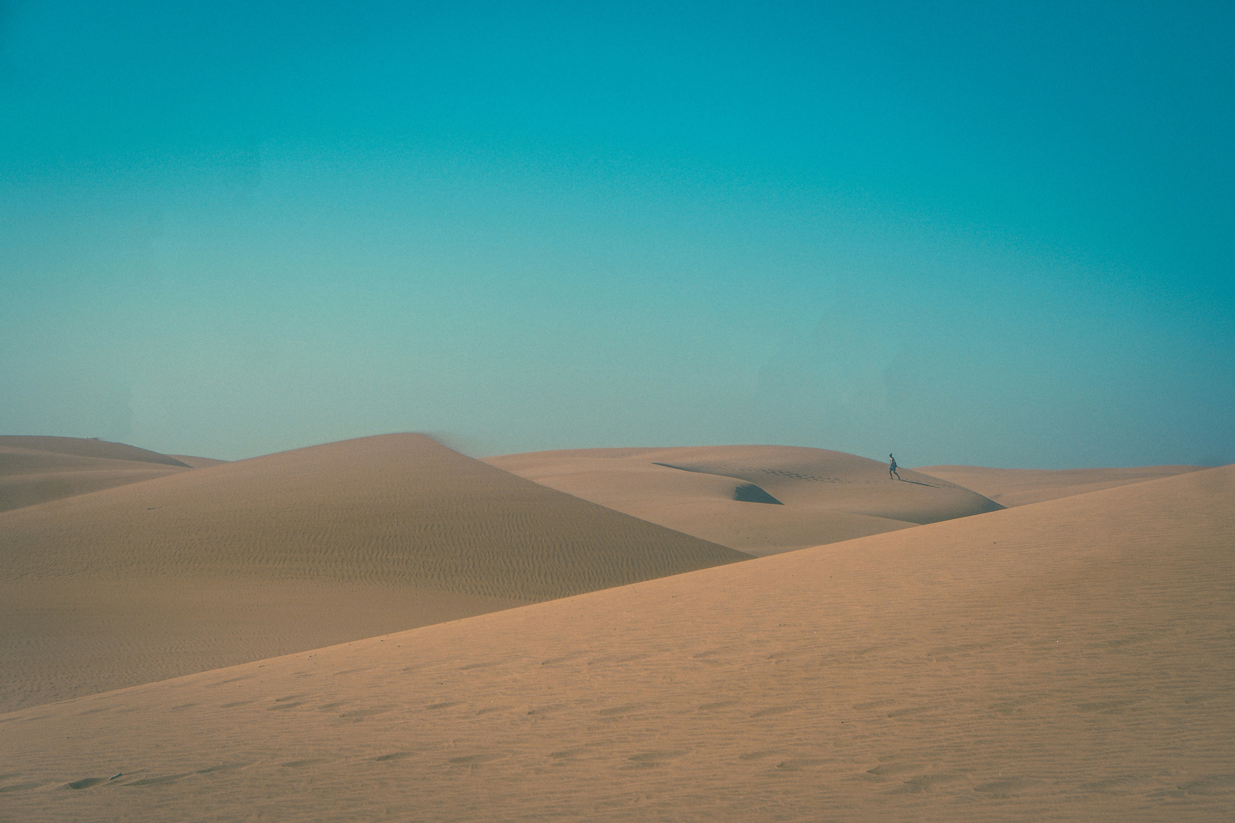 Photo by delightfulartefacts