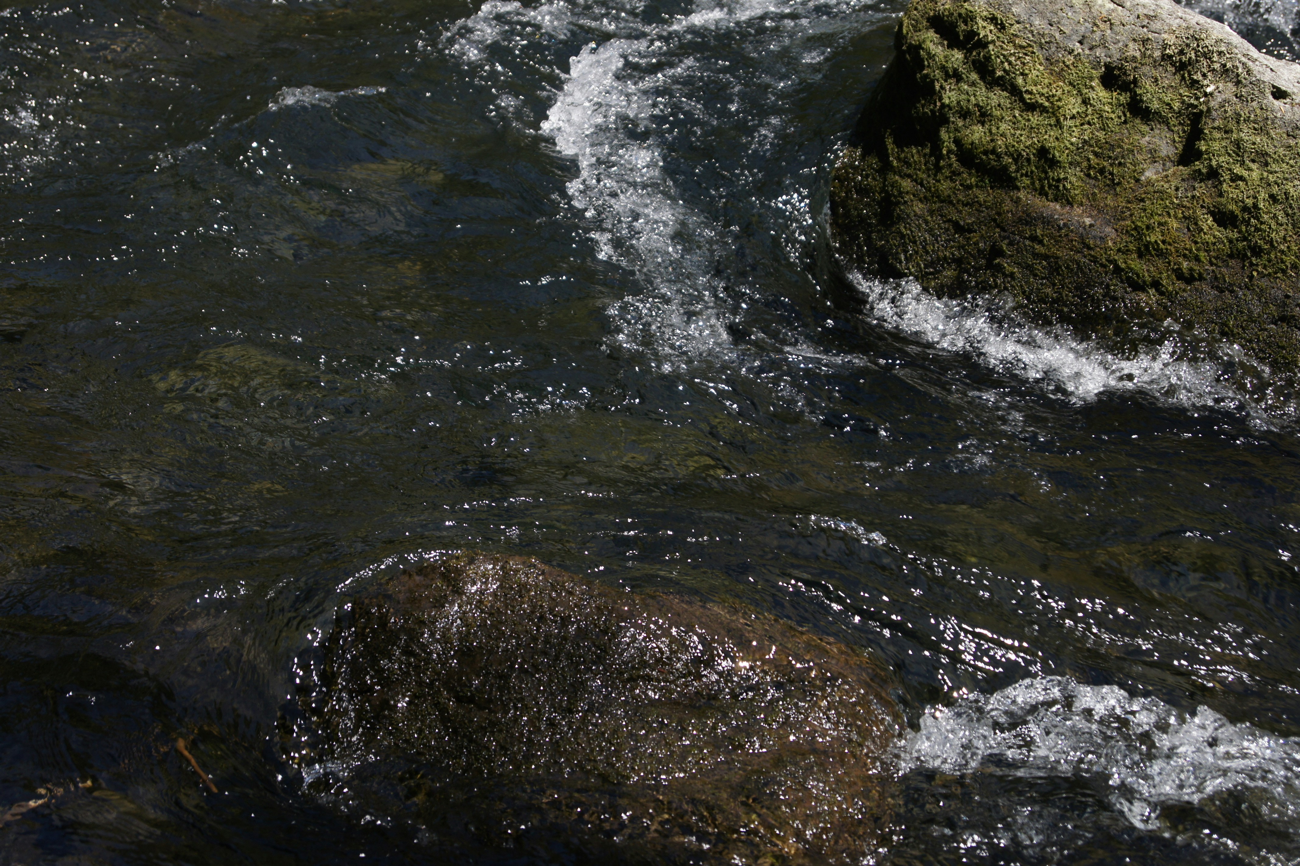 Photo by theimpossiblegirl