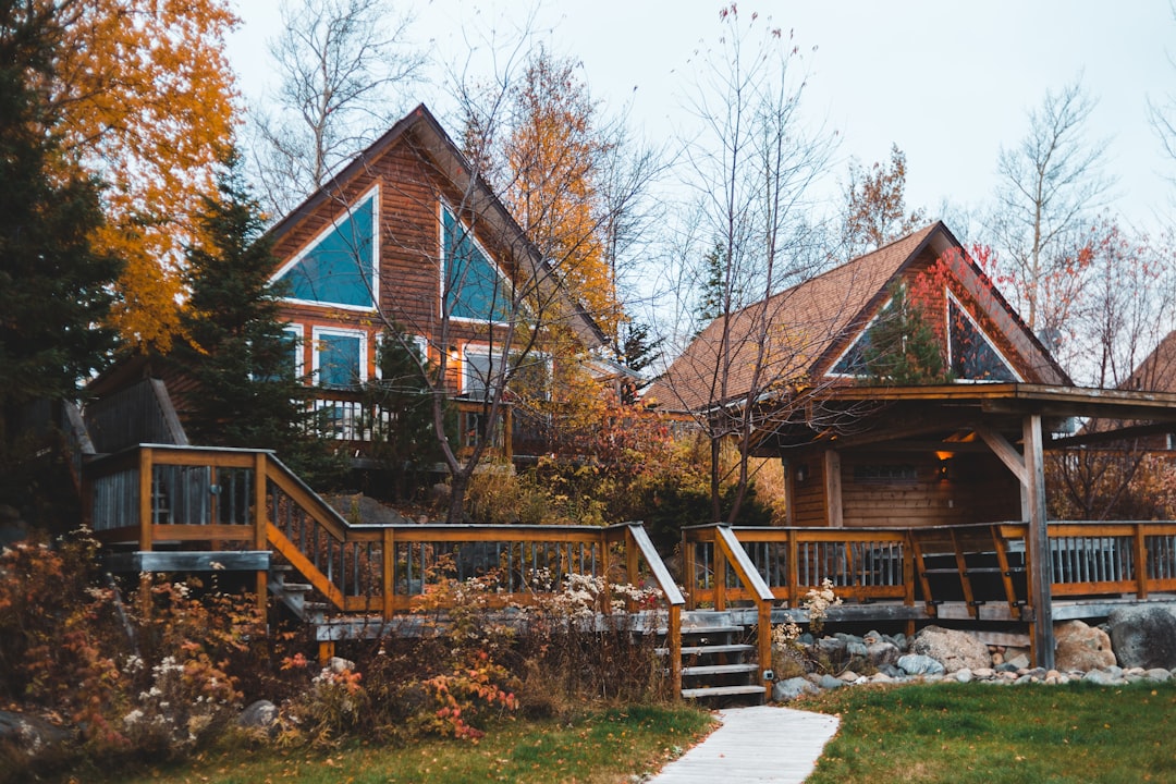 lined houses surrounded with trees during daytime