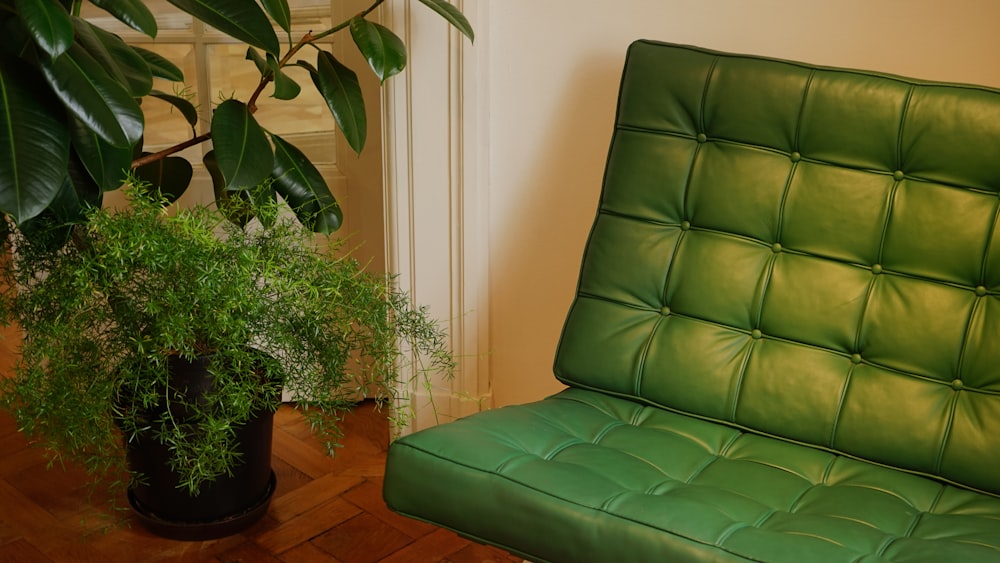 sofá acolchoado de couro verde vazio por planta no vaso