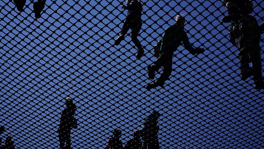 people standing on gray metal screen during daytime