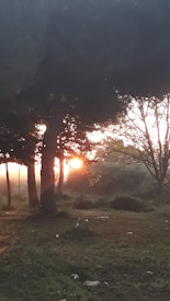 The image captures a serene landscape with trees silhouetted against the orange glow of a setting sun. The light filters through the branches, creating a warm and tranquil atmosphere.