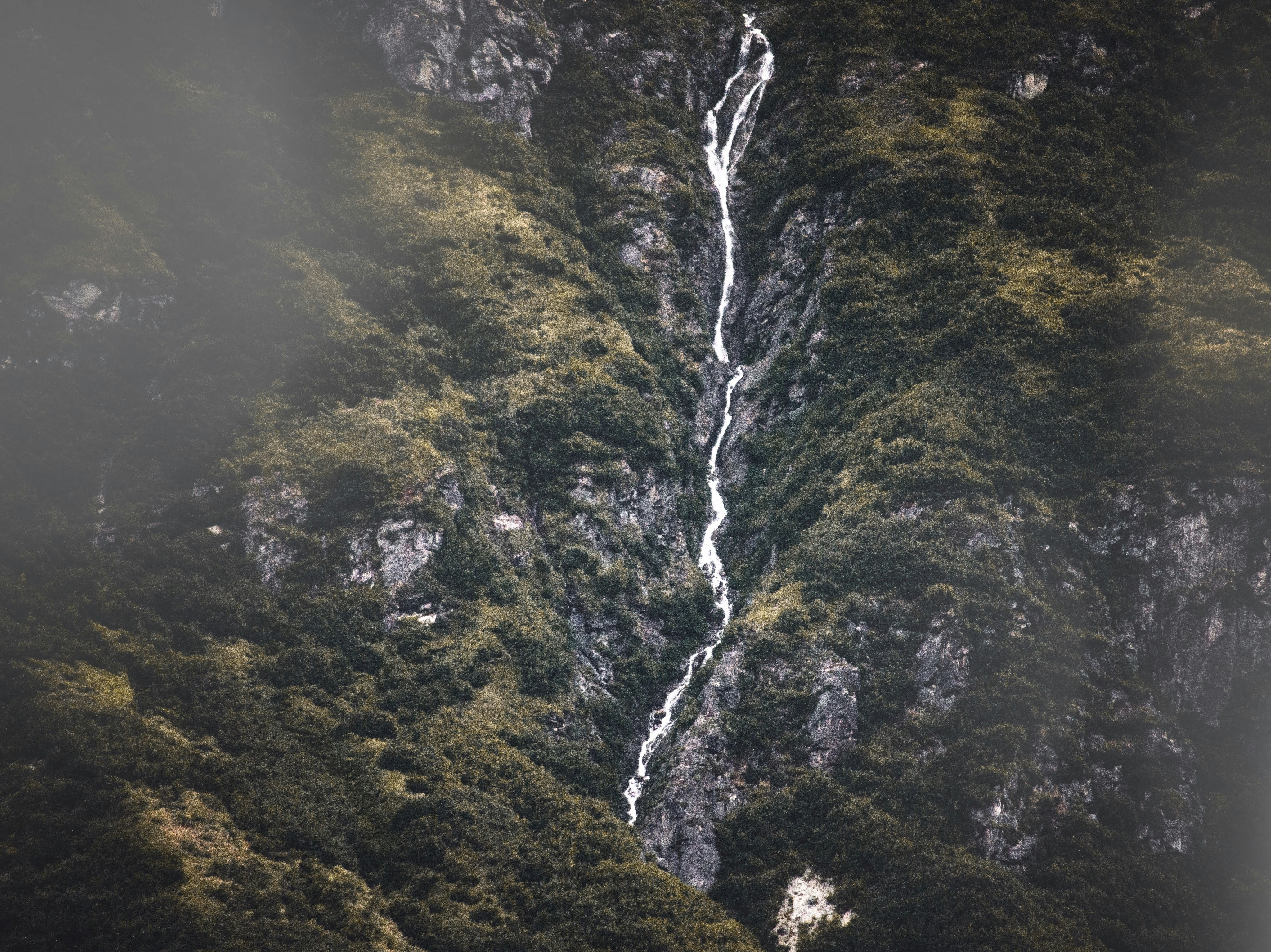 Photo by thedandygandy