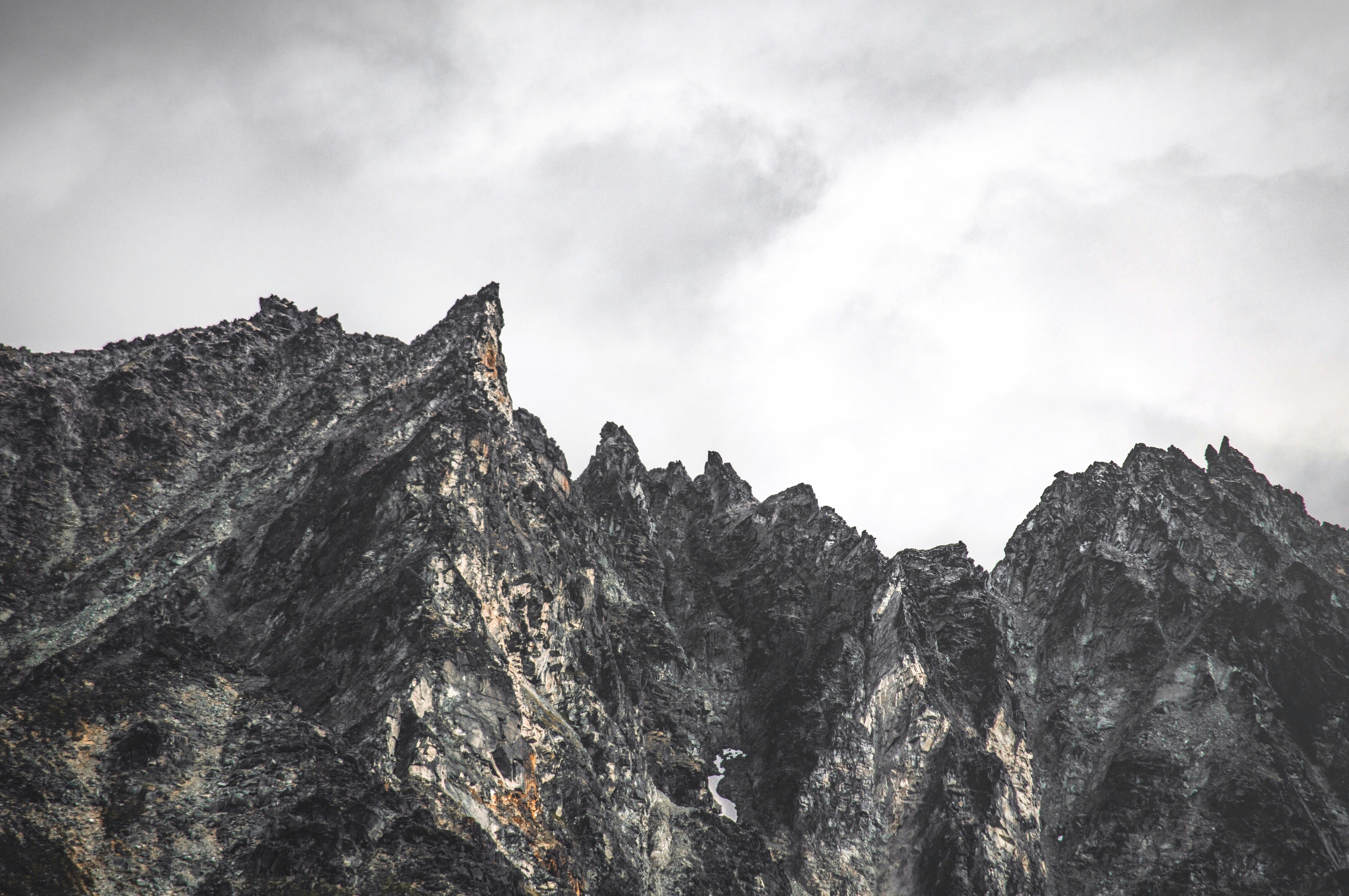 Photo by thedandygandy