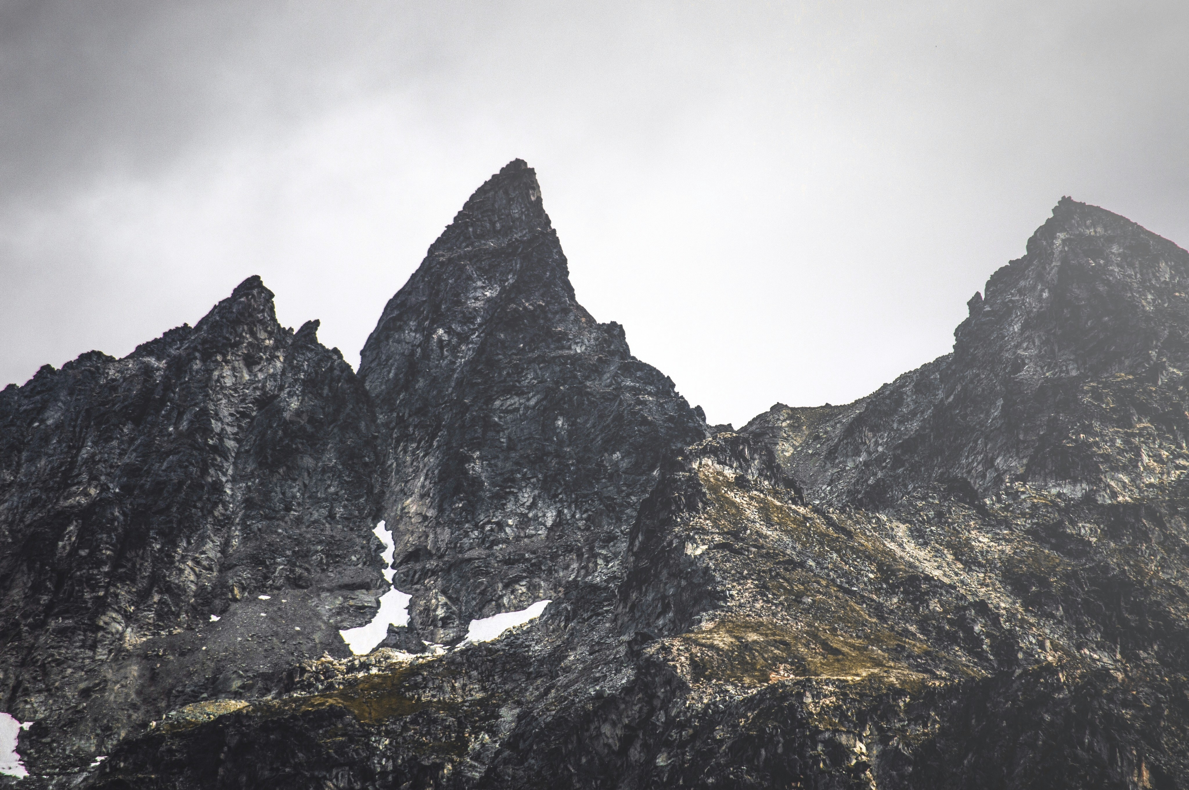 Photo by thedandygandy