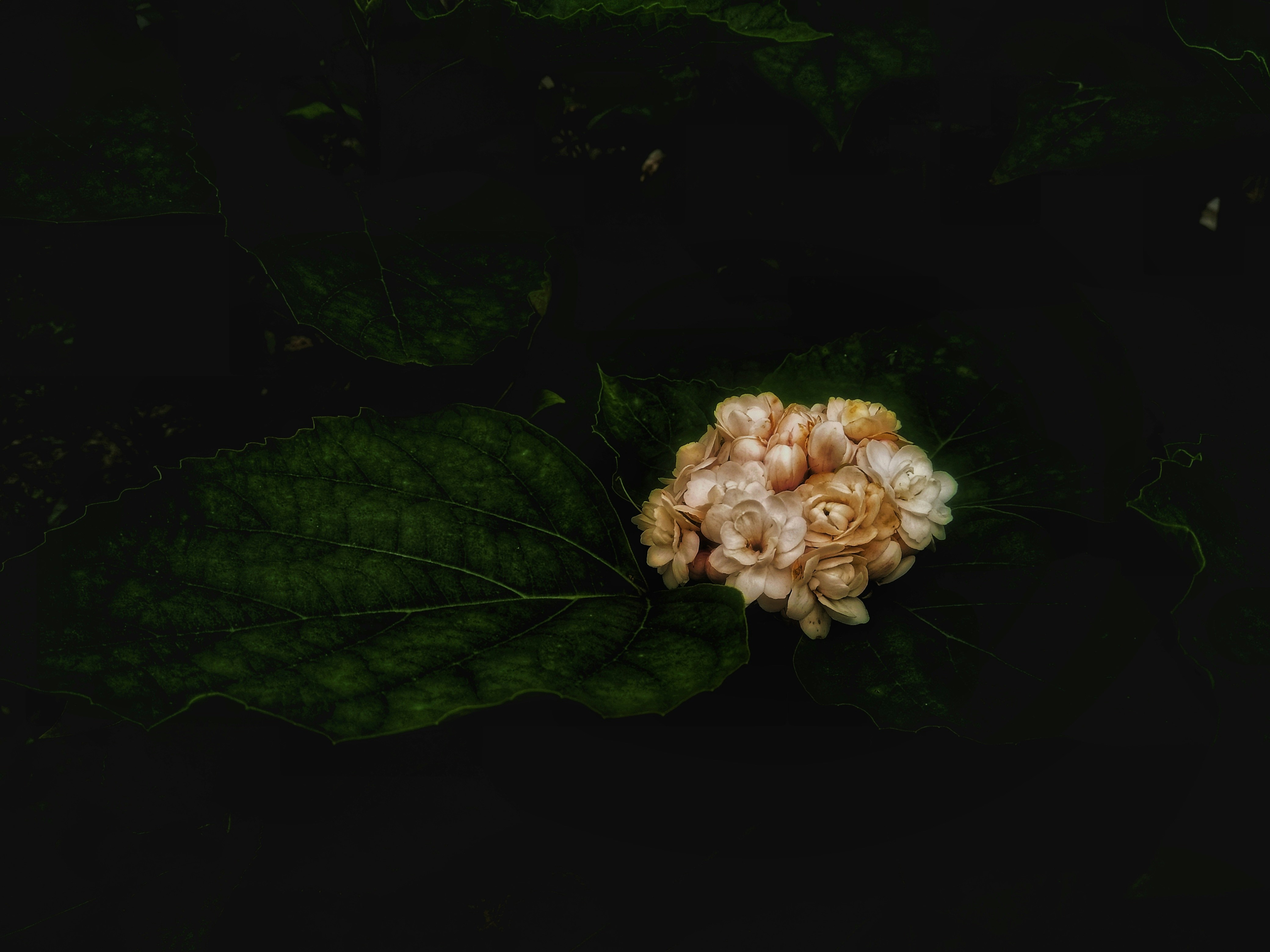 Photo by dnyaneshpptdar9