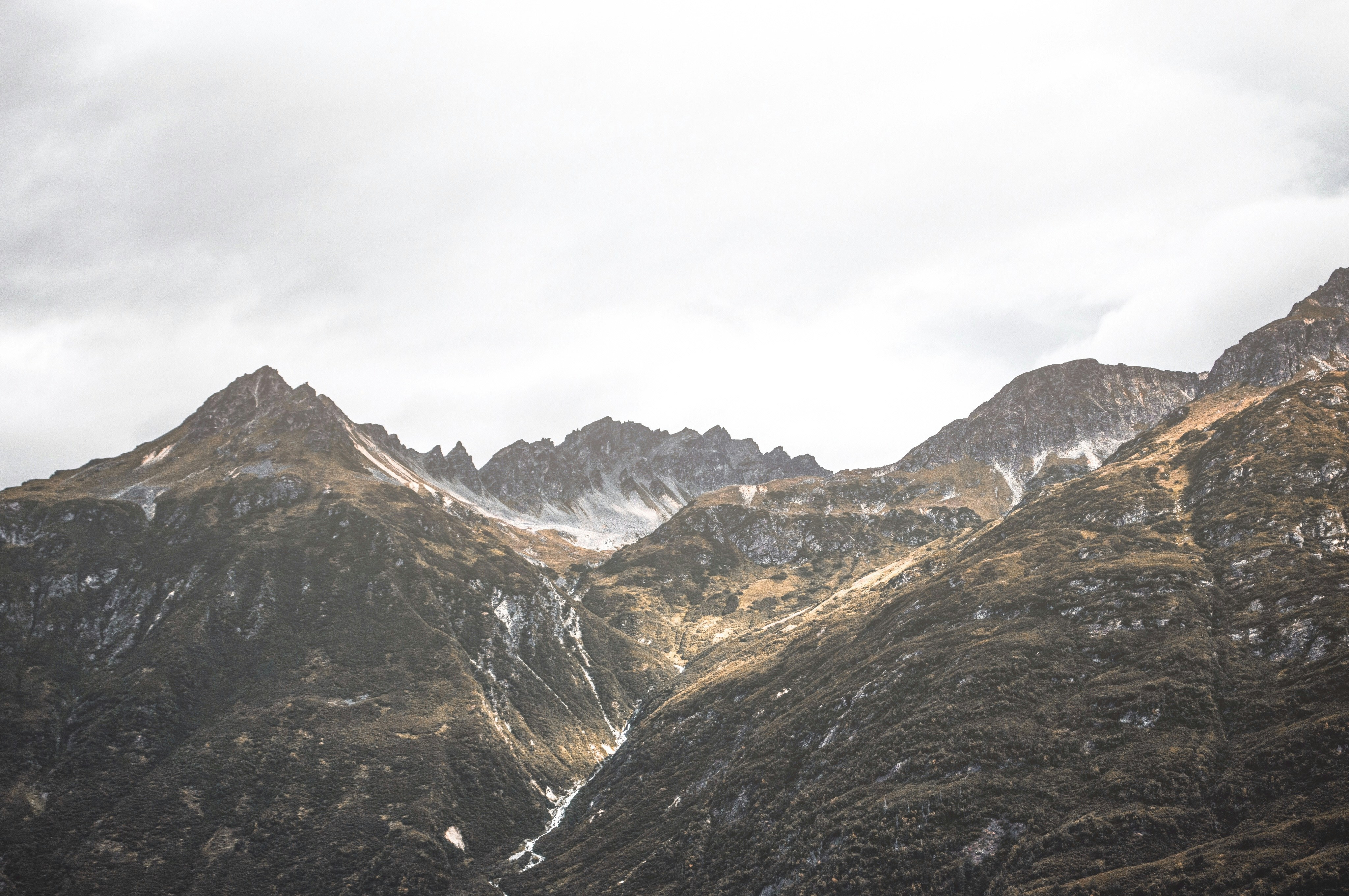 Photo by thedandygandy