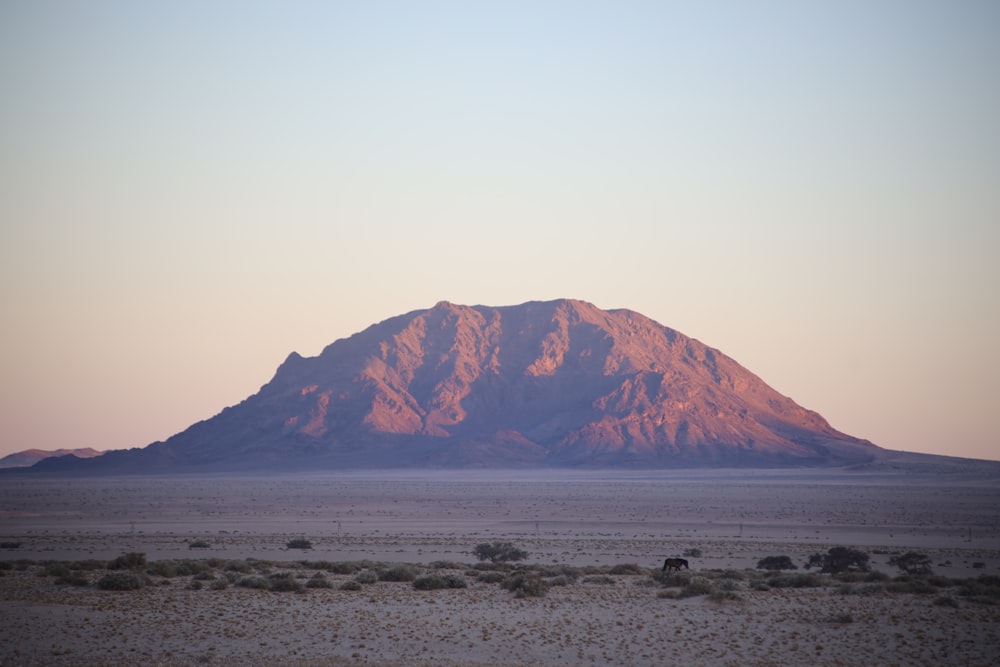 mountain under gray sky