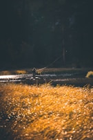 A fisherman enjoying a quiet moment on Río Niño, framed by tropical plants and sunlight.