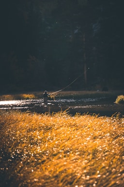 A person is fly fishing in a tranquil river surrounded by tall grasses glowing in the warm morning or evening sunlight. The surrounding area is lush with deep green trees creating a serene and peaceful atmosphere.