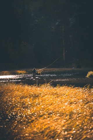 A peaceful river scene at dawn with a fly-fishing guide casting a line.