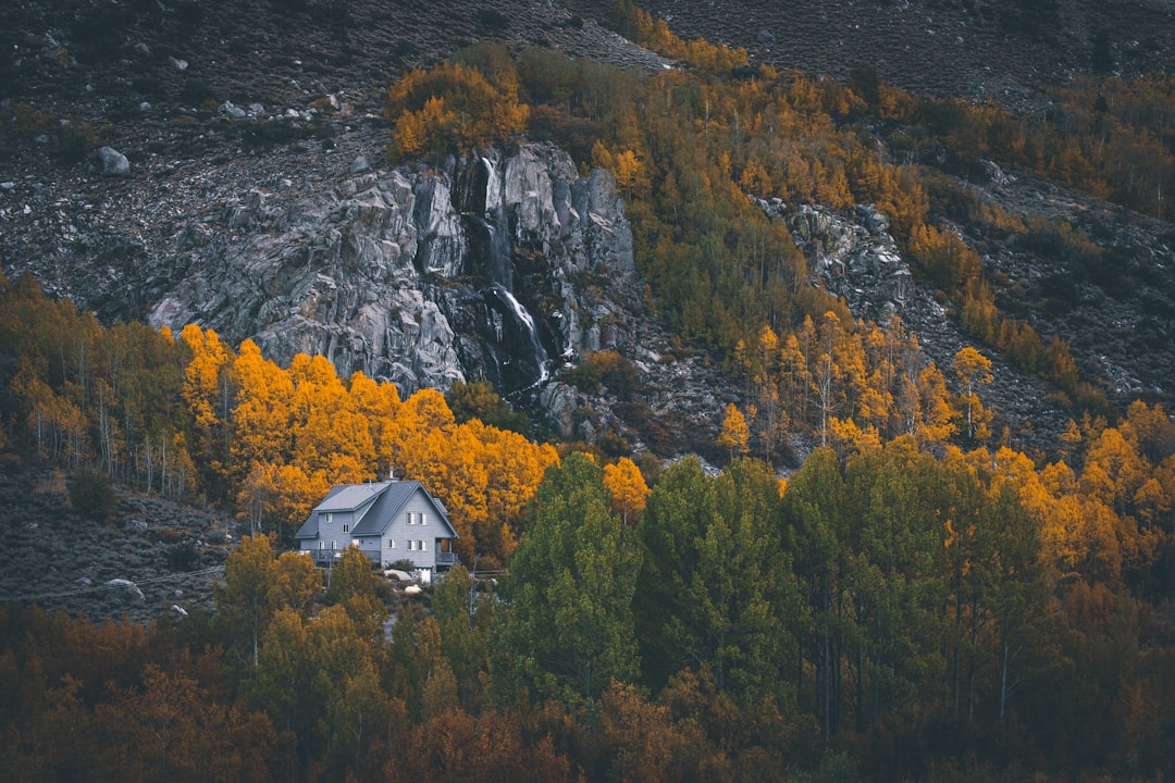 white and grey wooden house during daytime