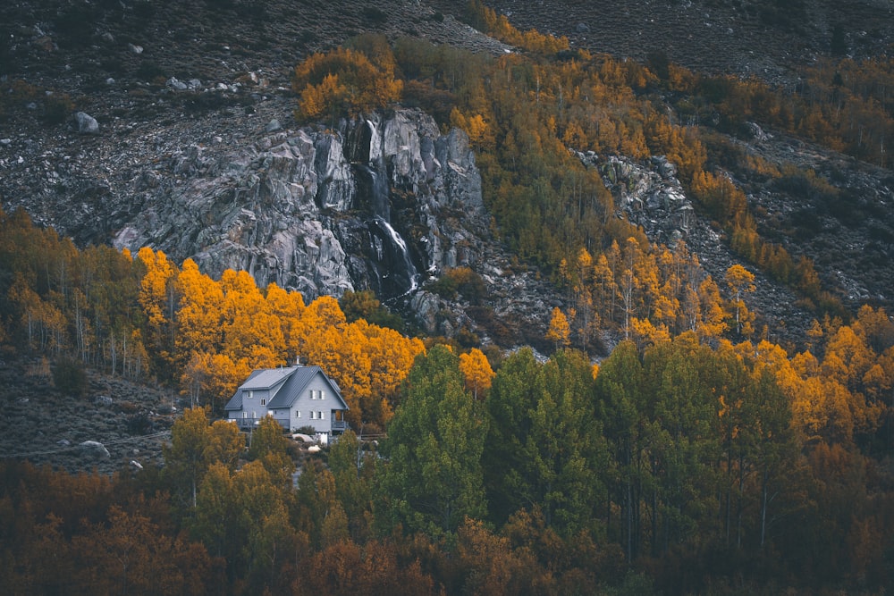 white and grey wooden house during daytime