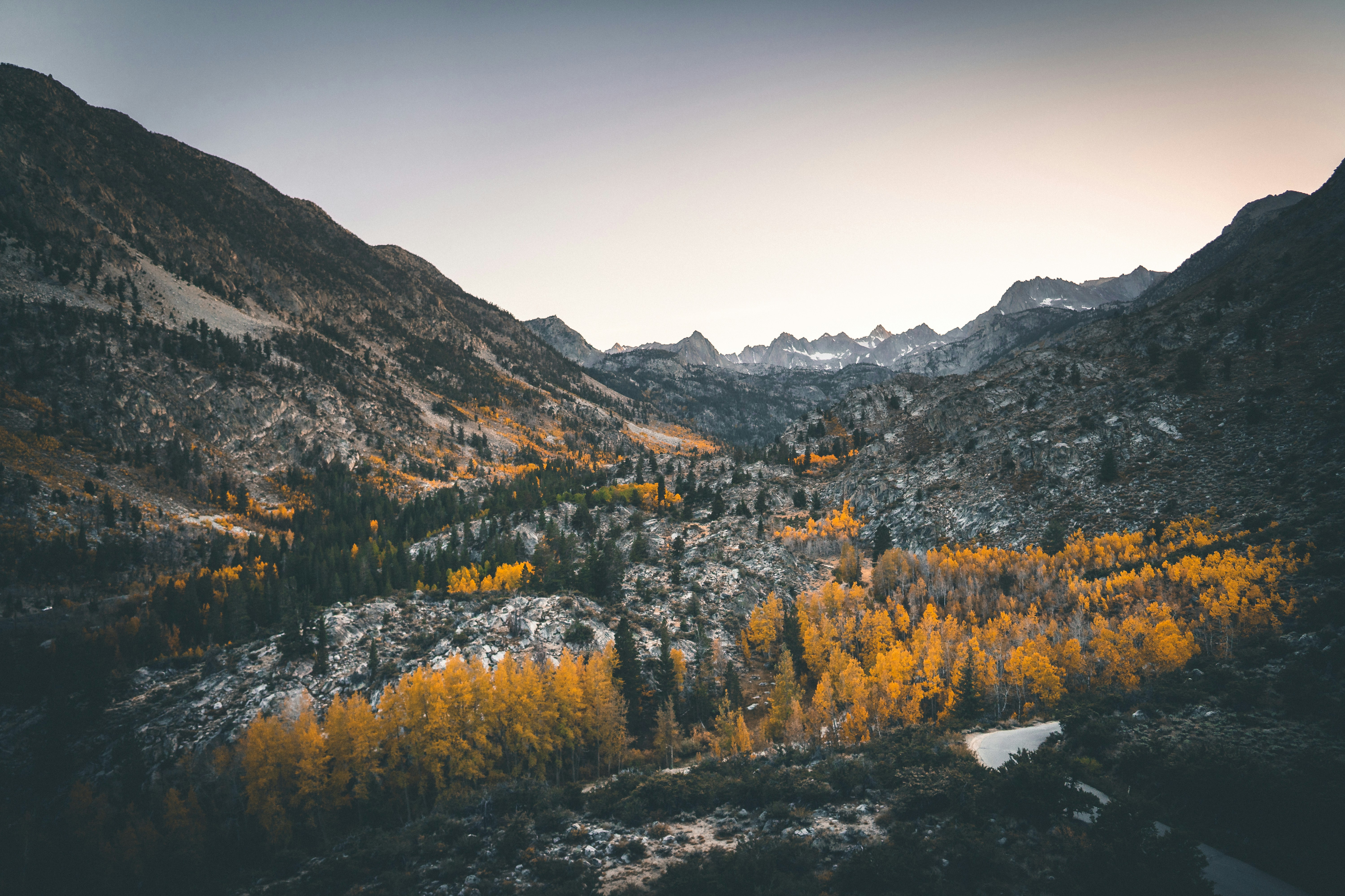 Photo by mischievous_penguins